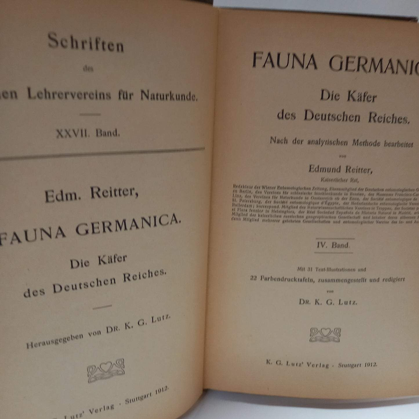 Fauna Germanica IV.