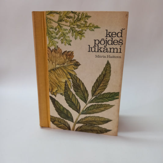 Keď pôjdeš lúkami