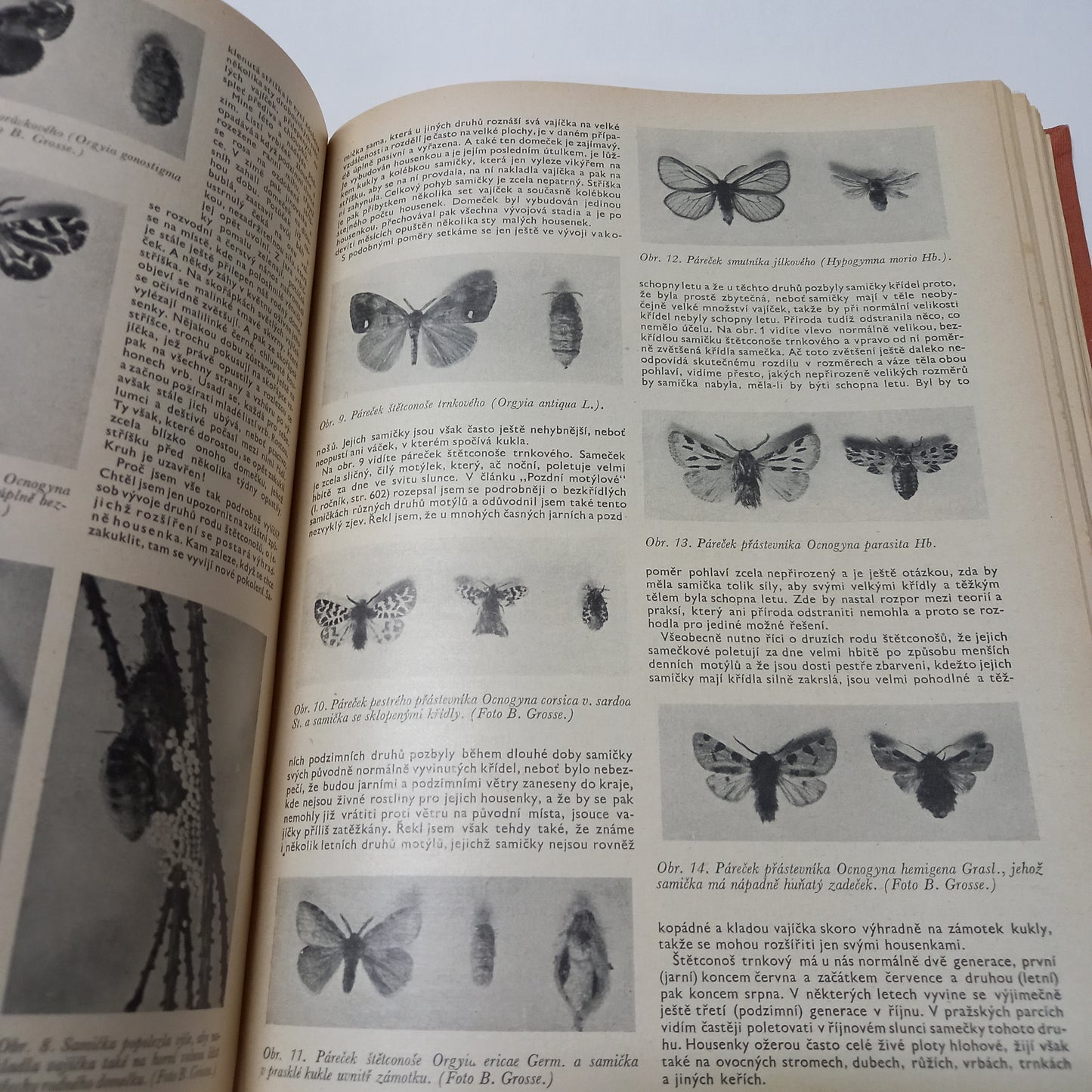 Naší přírodou 1938-1939