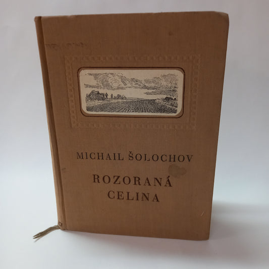 Rozoraná celina