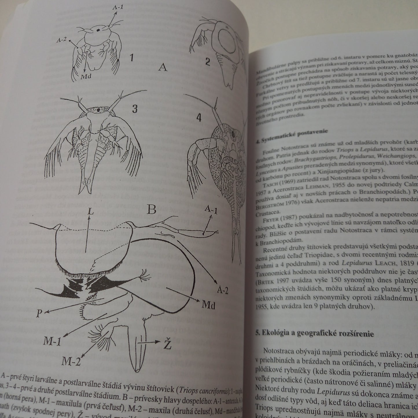 Fauna Slovenska - žiabronôžky, štítovky,