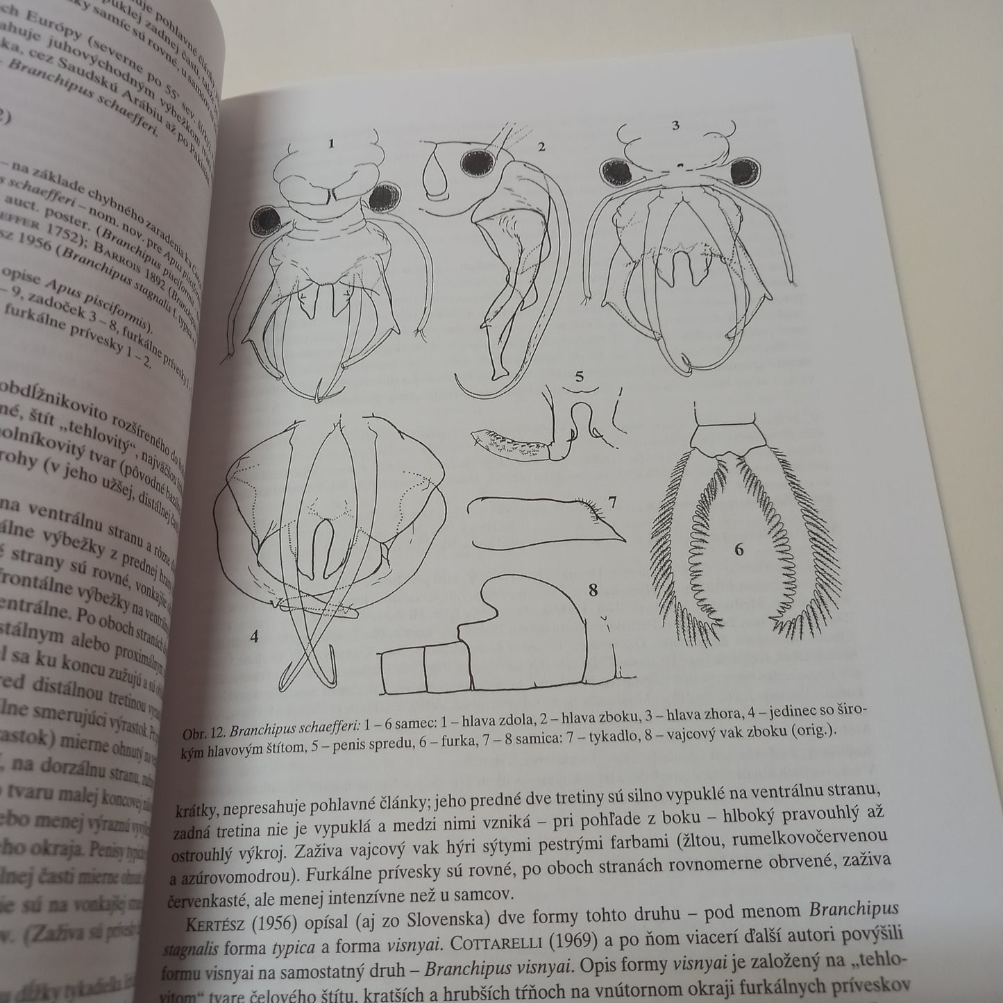 Fauna Slovenska - žiabronôžky, štítovky,
