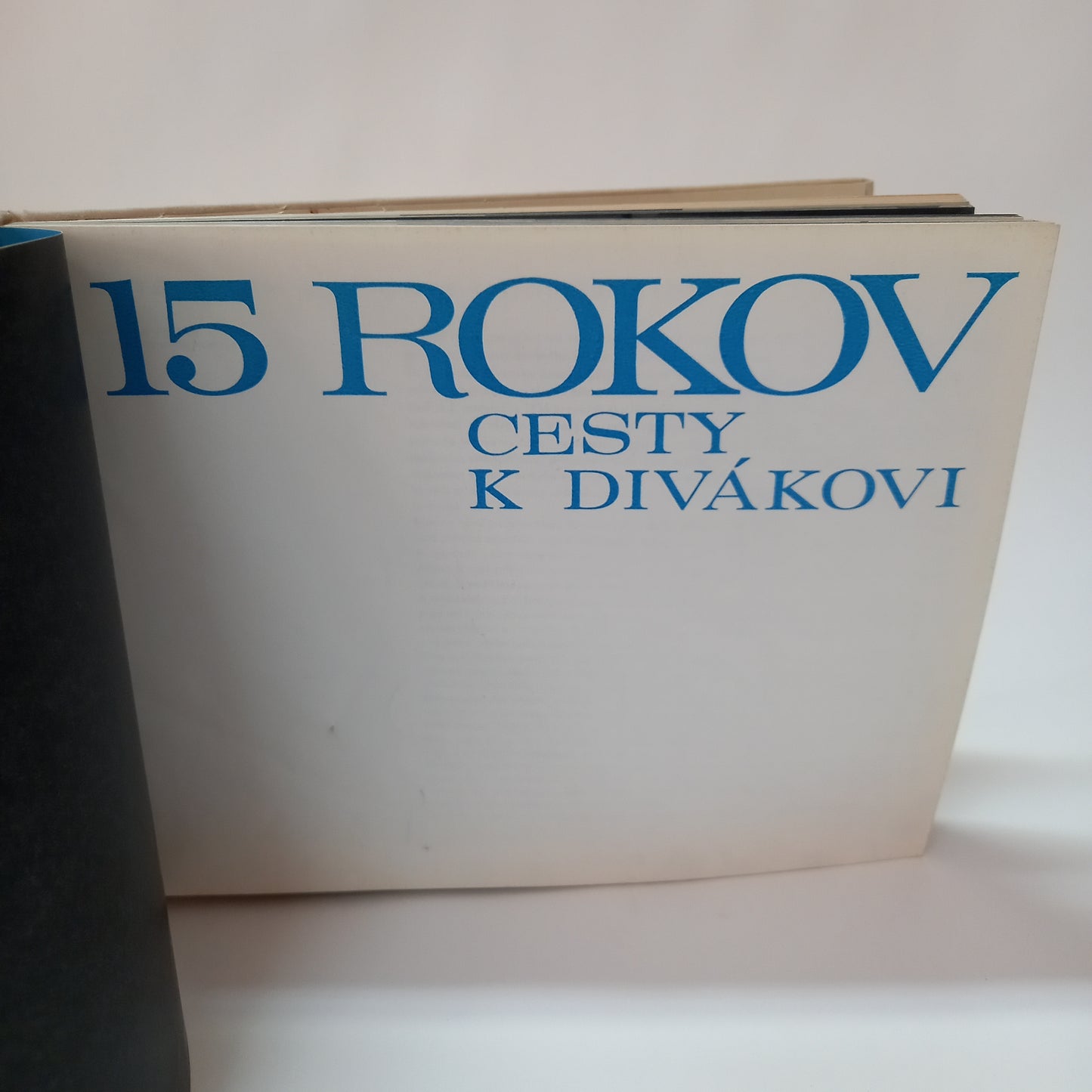 15 rokov cesty k divákovi