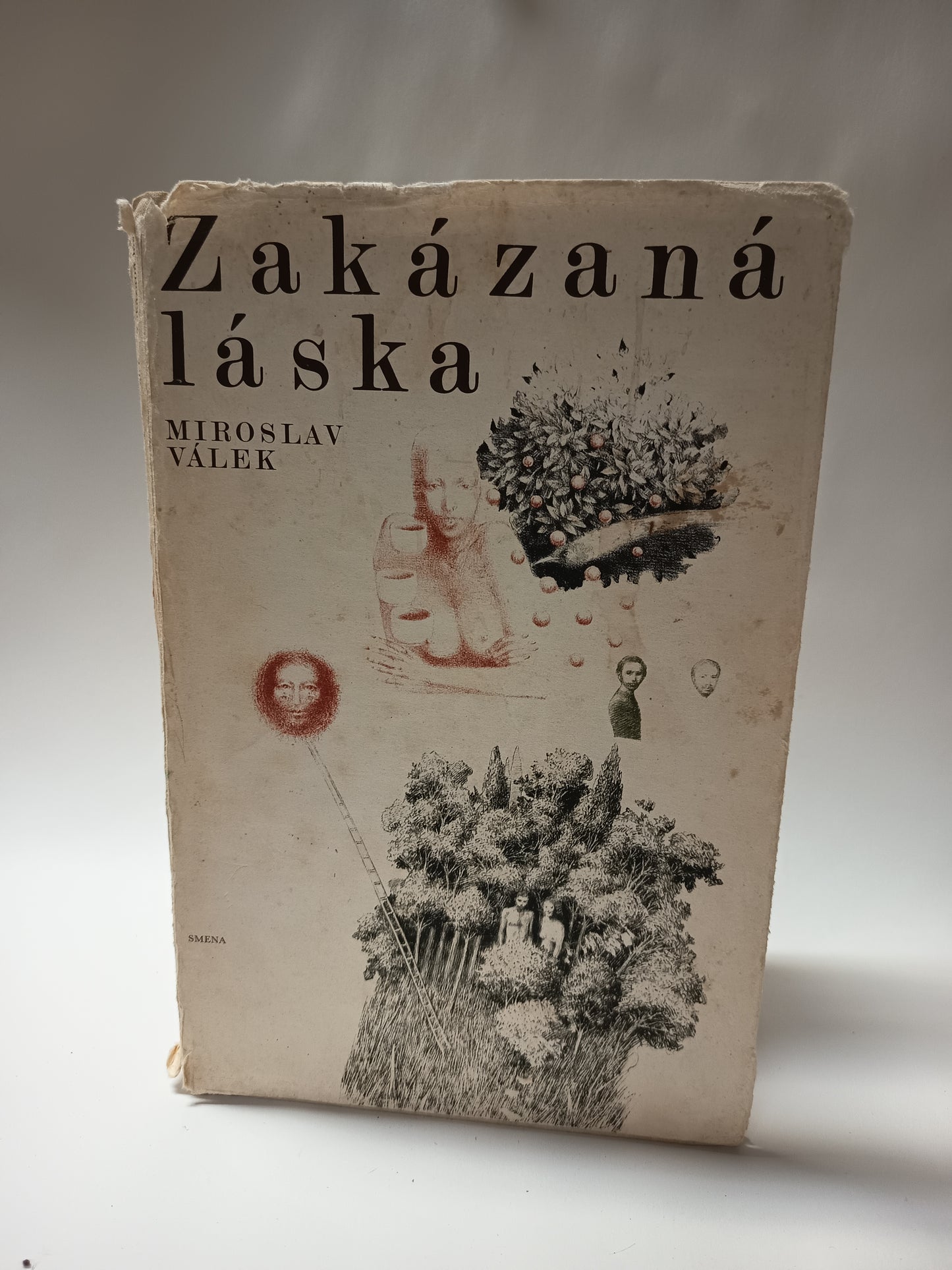 Zakázaná láska
