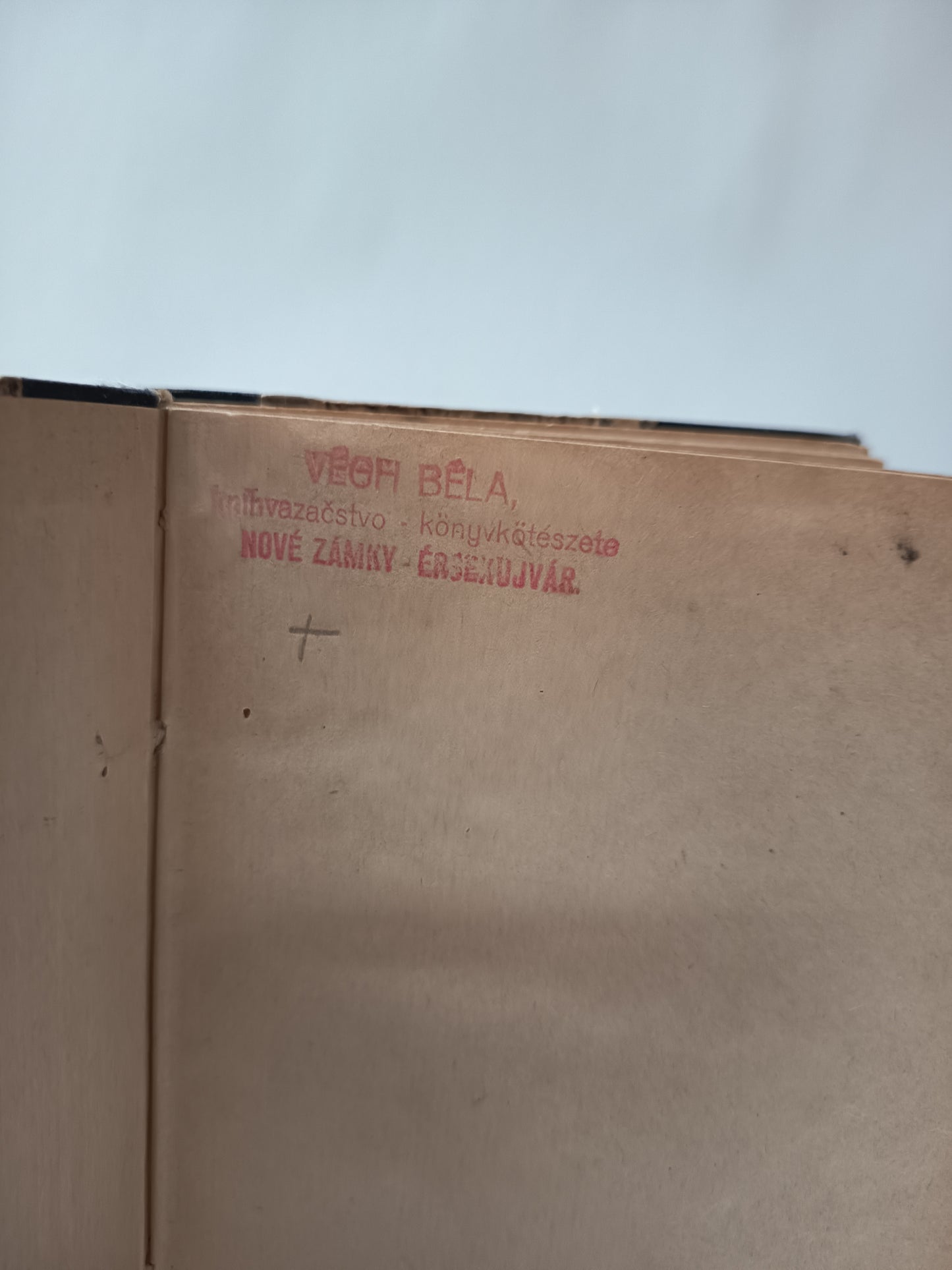 Osudy dobrého vojáka Švejka v ruském zajetí
