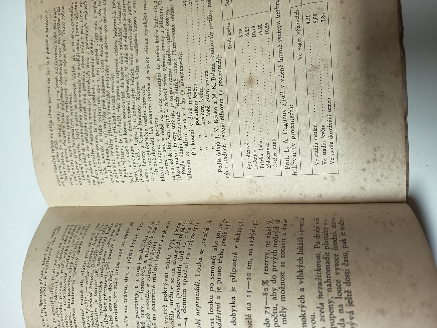 Lukařství a jeho vědecké základy