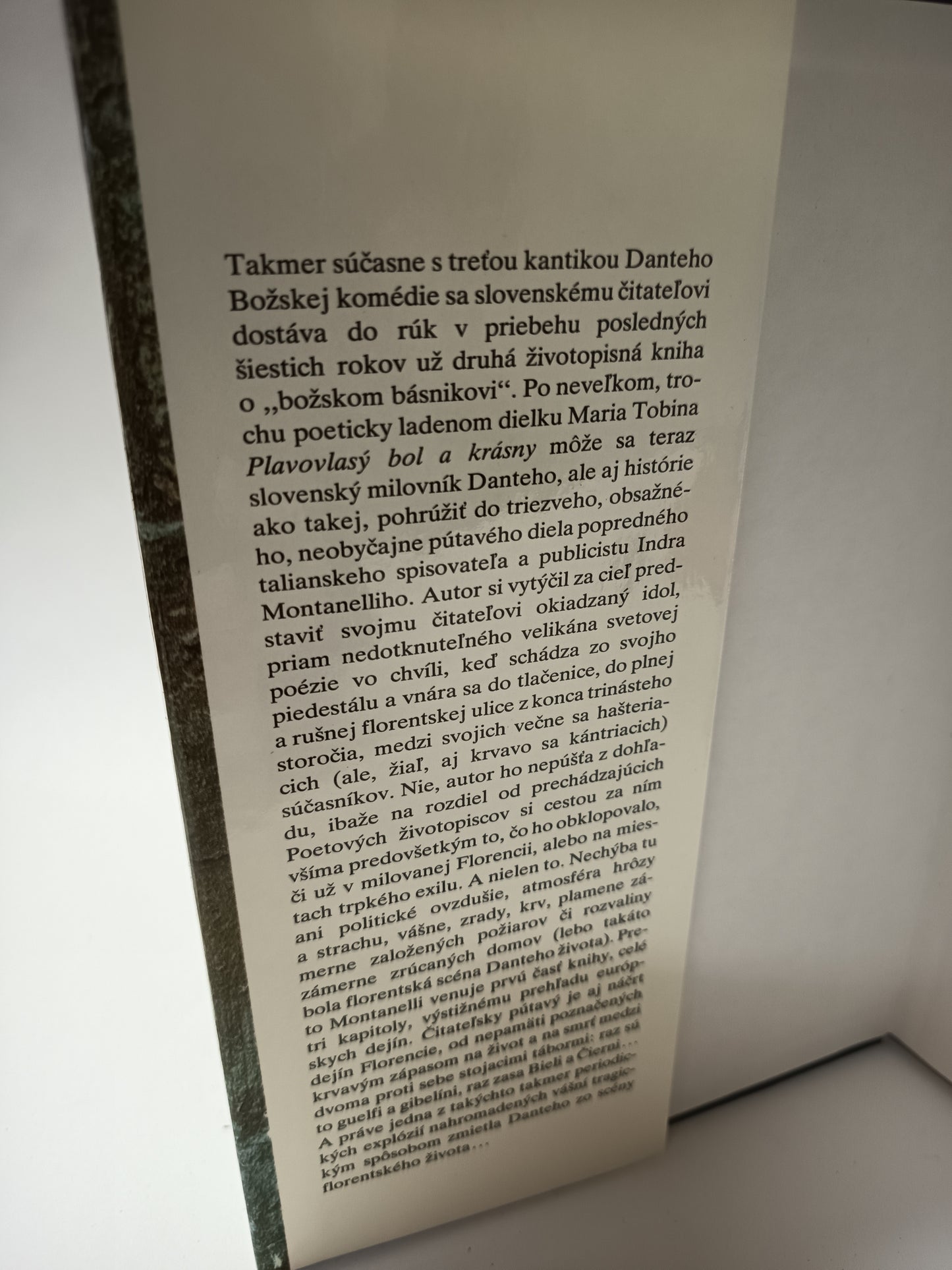 Dante a jeho storočie