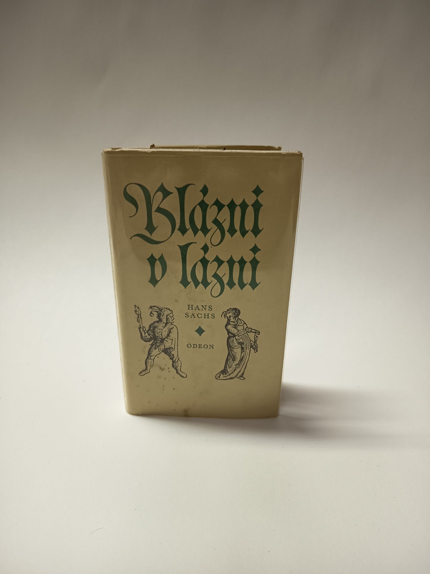 Blázni v lázni