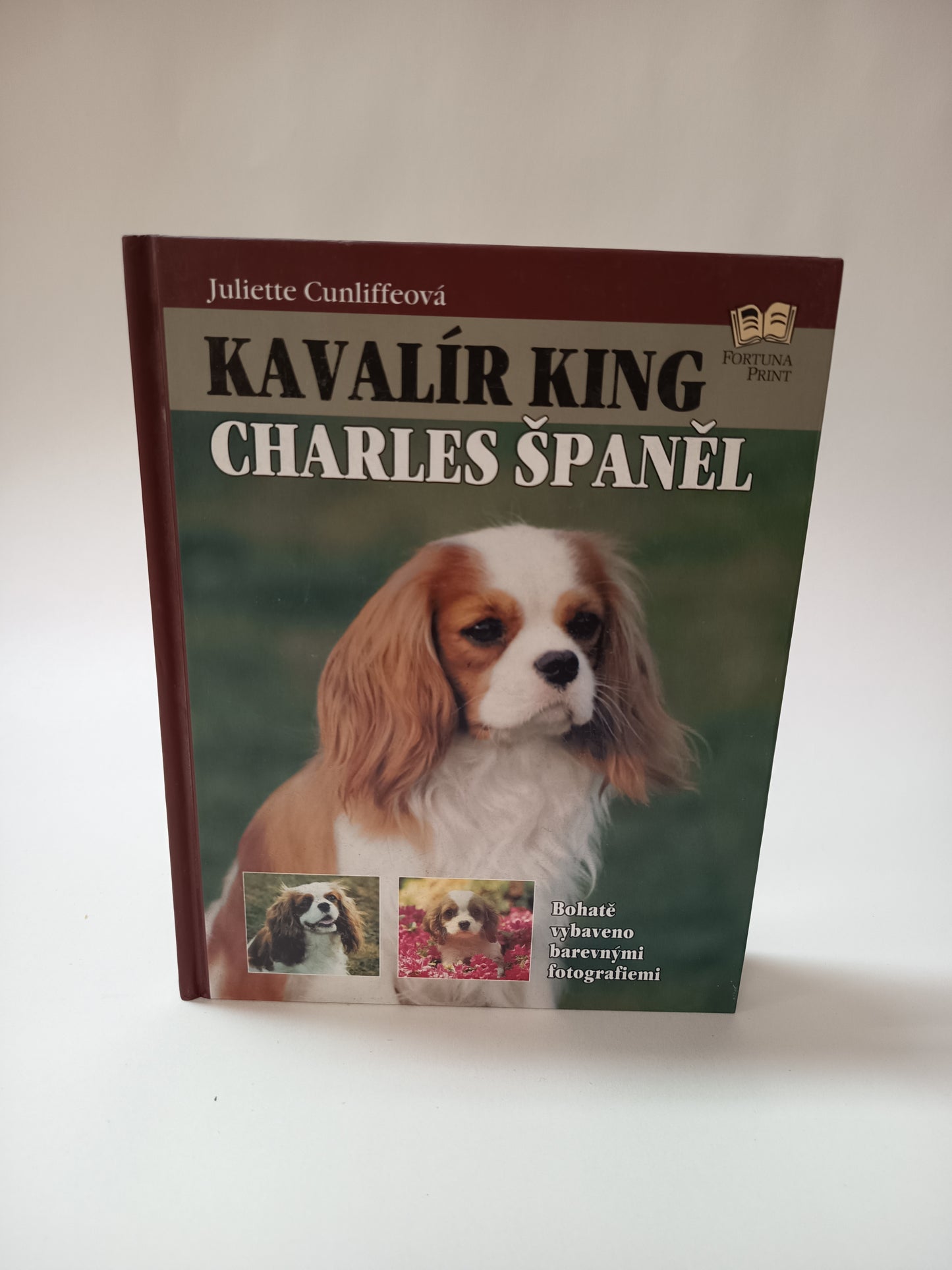 Kavalír king Charles španěl