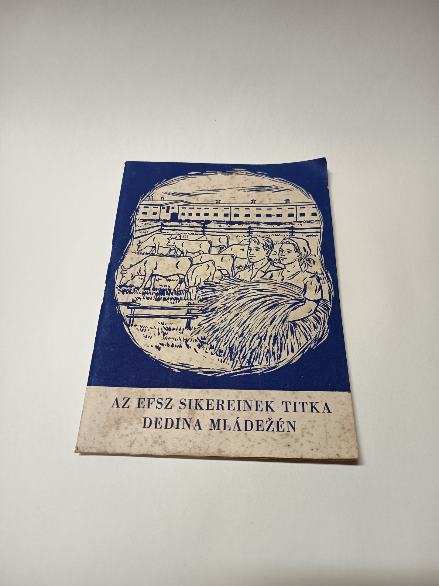 Az efsz sikereinek titka Dedina mládežén