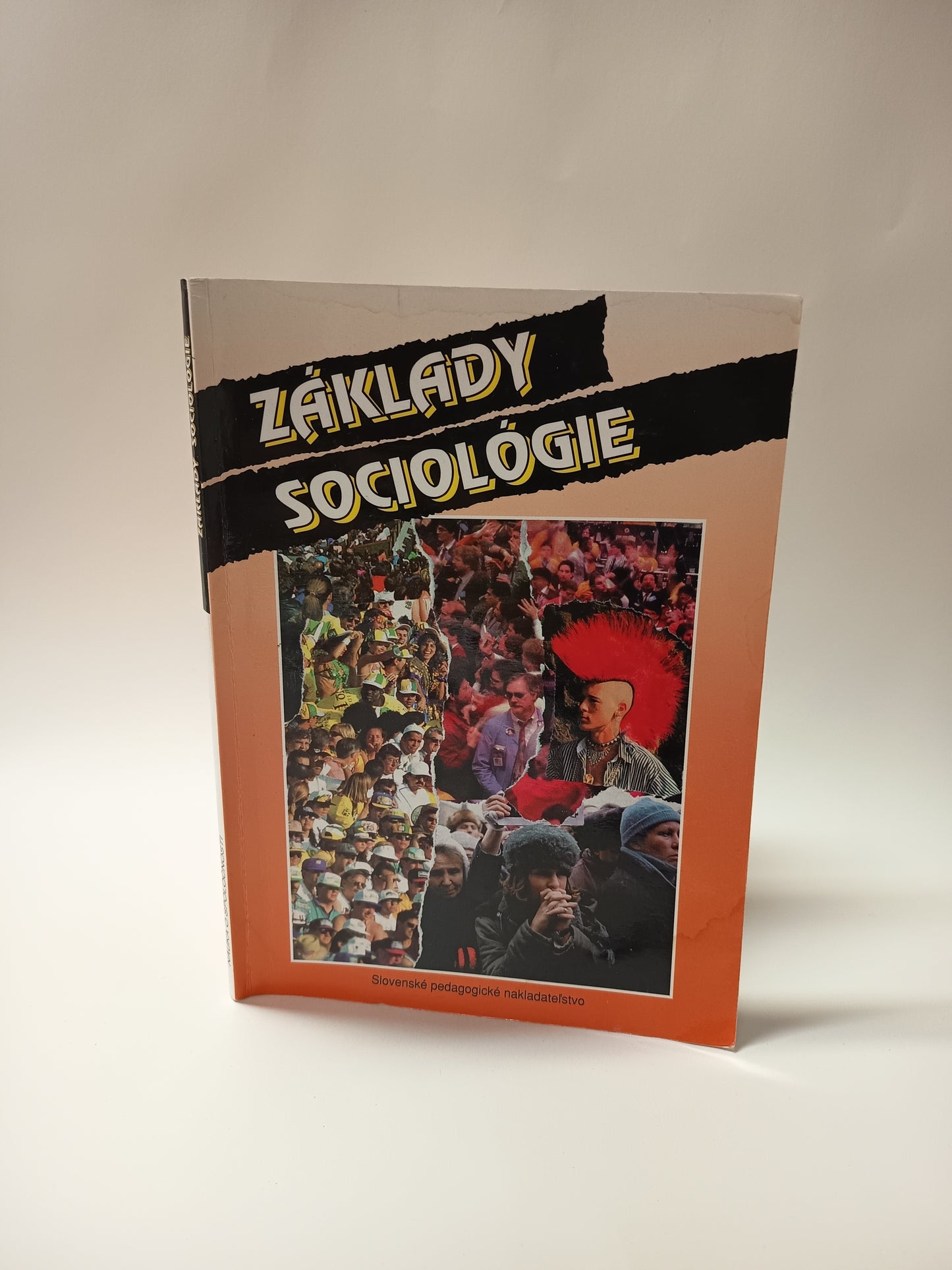 Základy sociológie