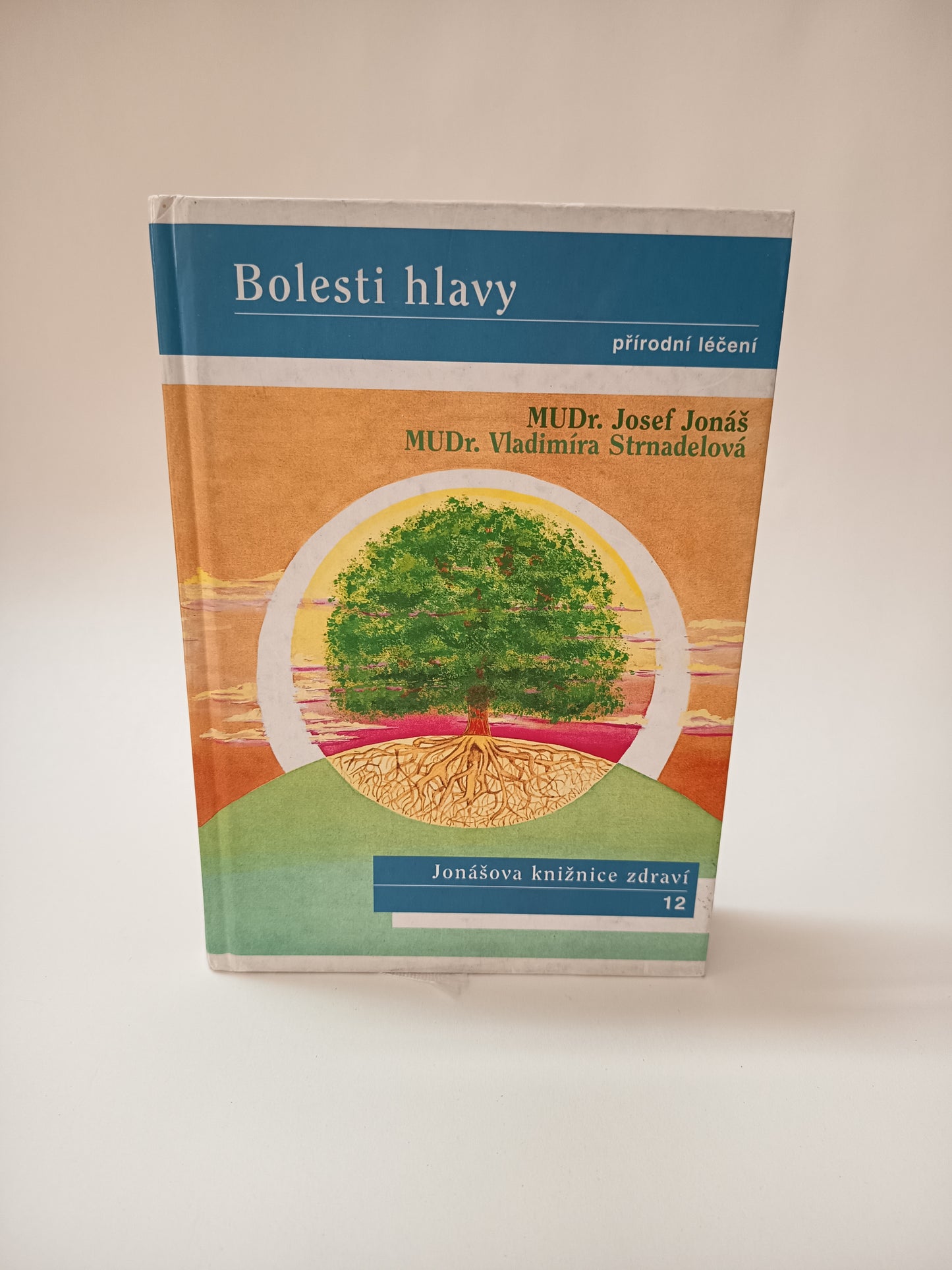 Bolesti hlavy