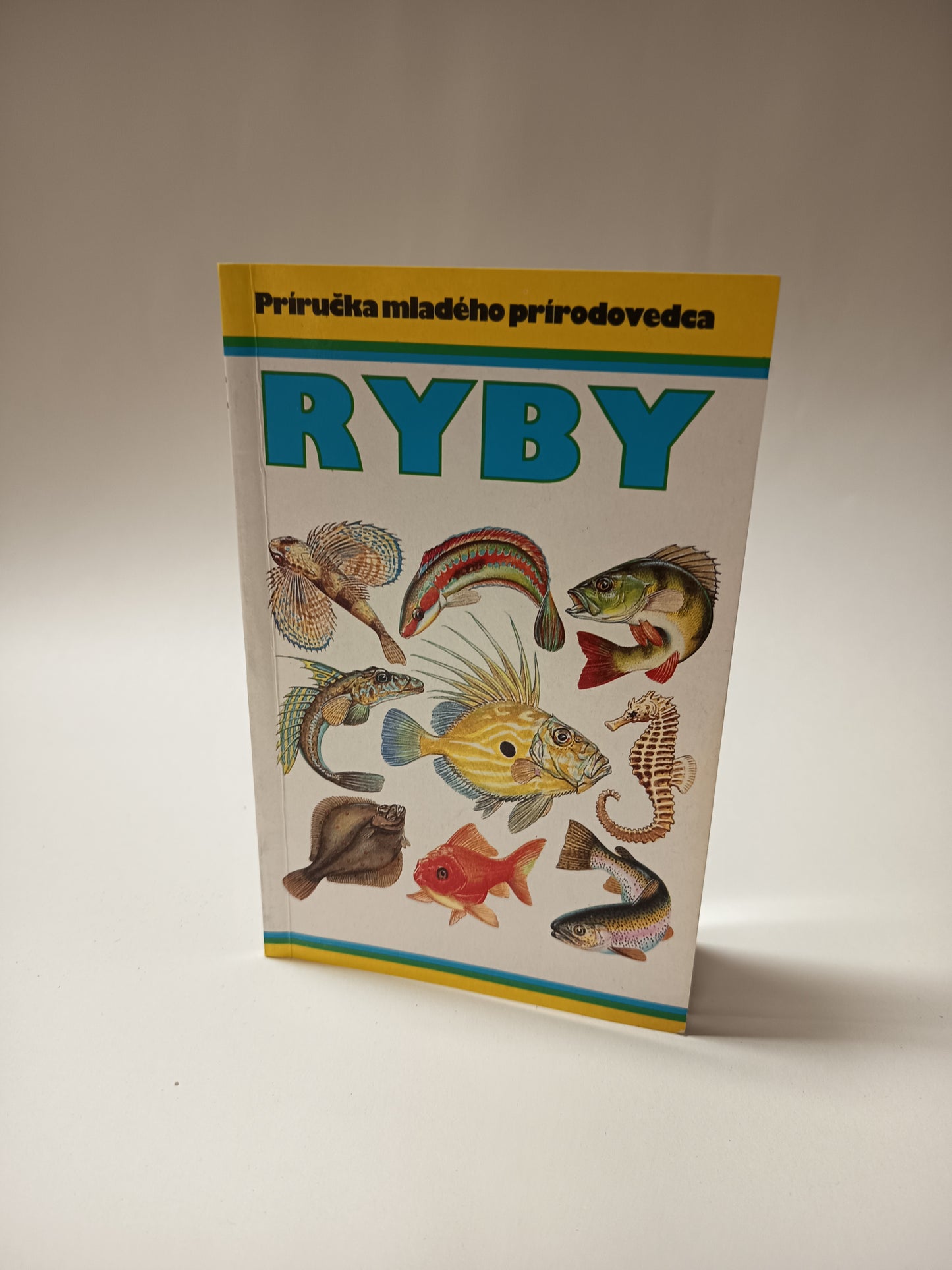 Ryby