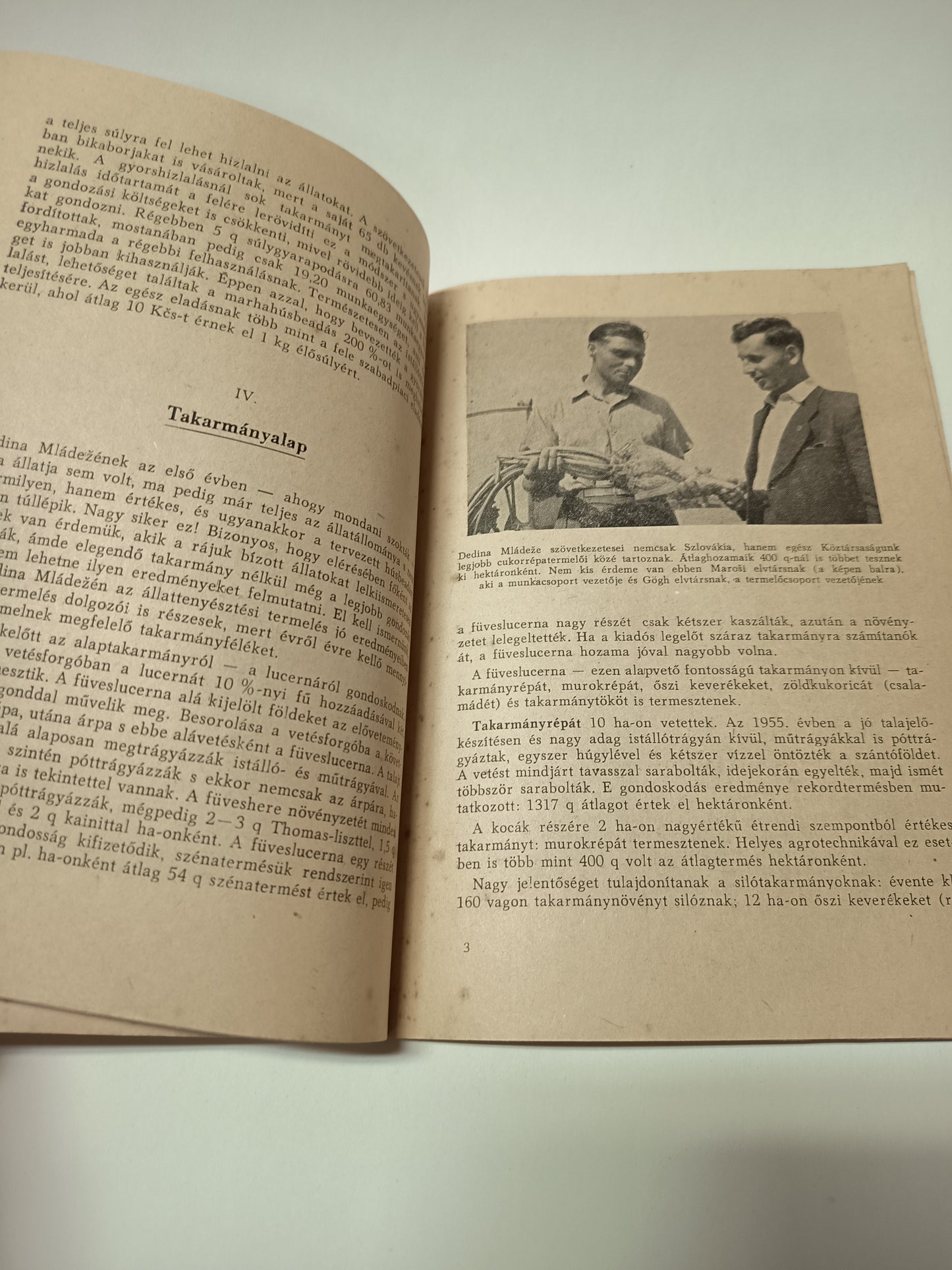 Az efsz sikereinek titka Dedina mládežén