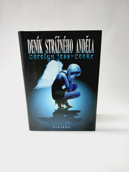 Deník strážného anděla