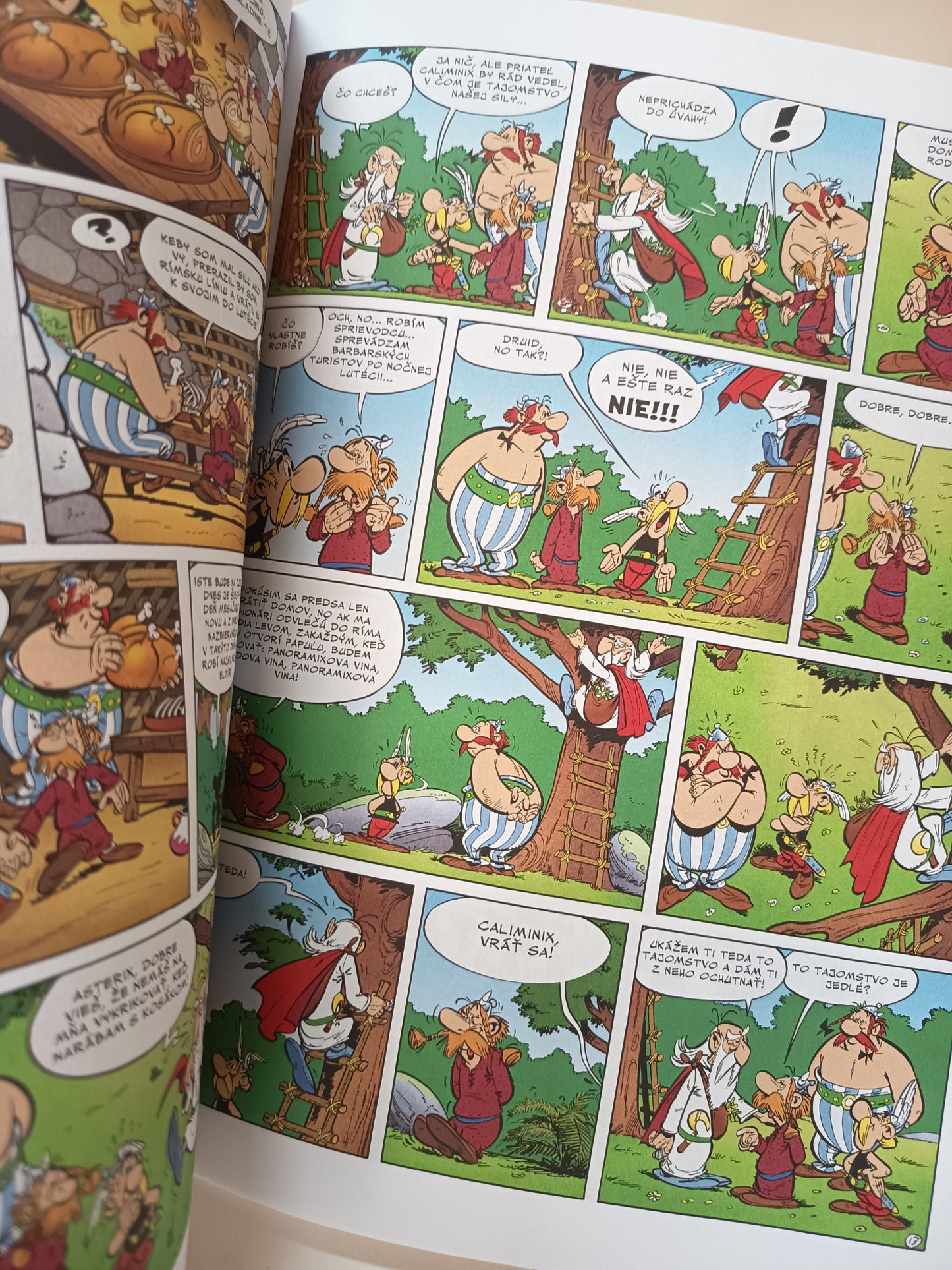 Asterix - Asterix z Galie