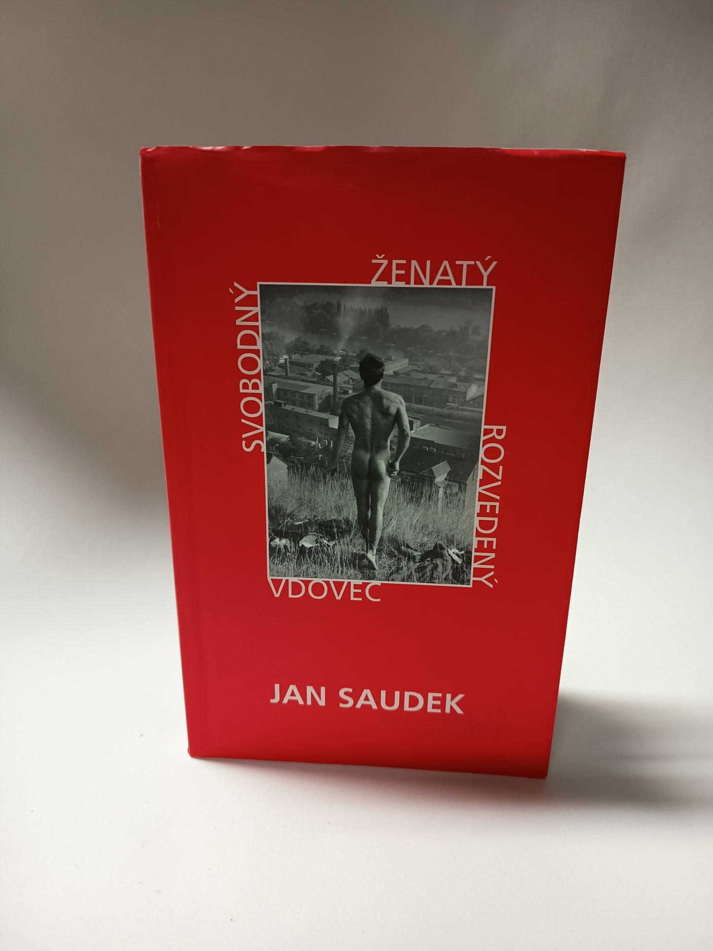 Svobodný Ženatý Rozvedený Vdovec