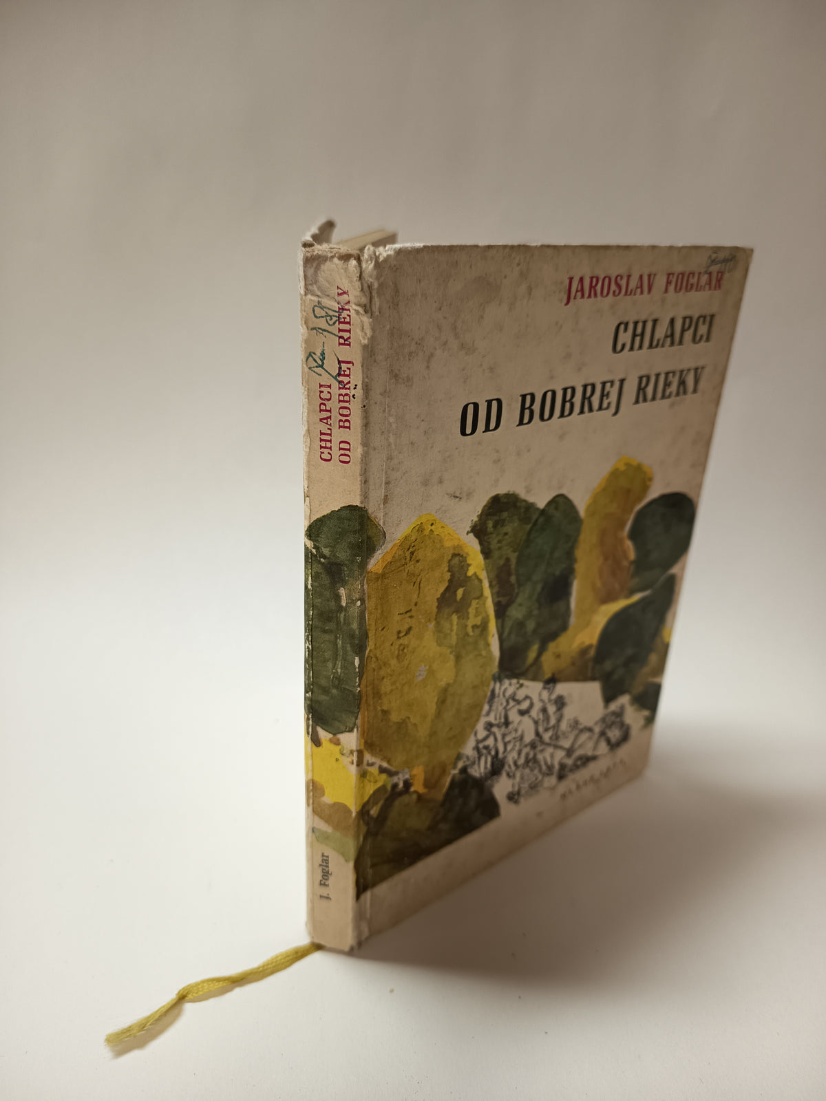 Chlapci od Bobrej rieky