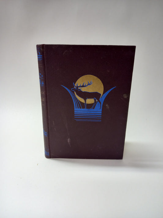 Keď rumy ožijú I.