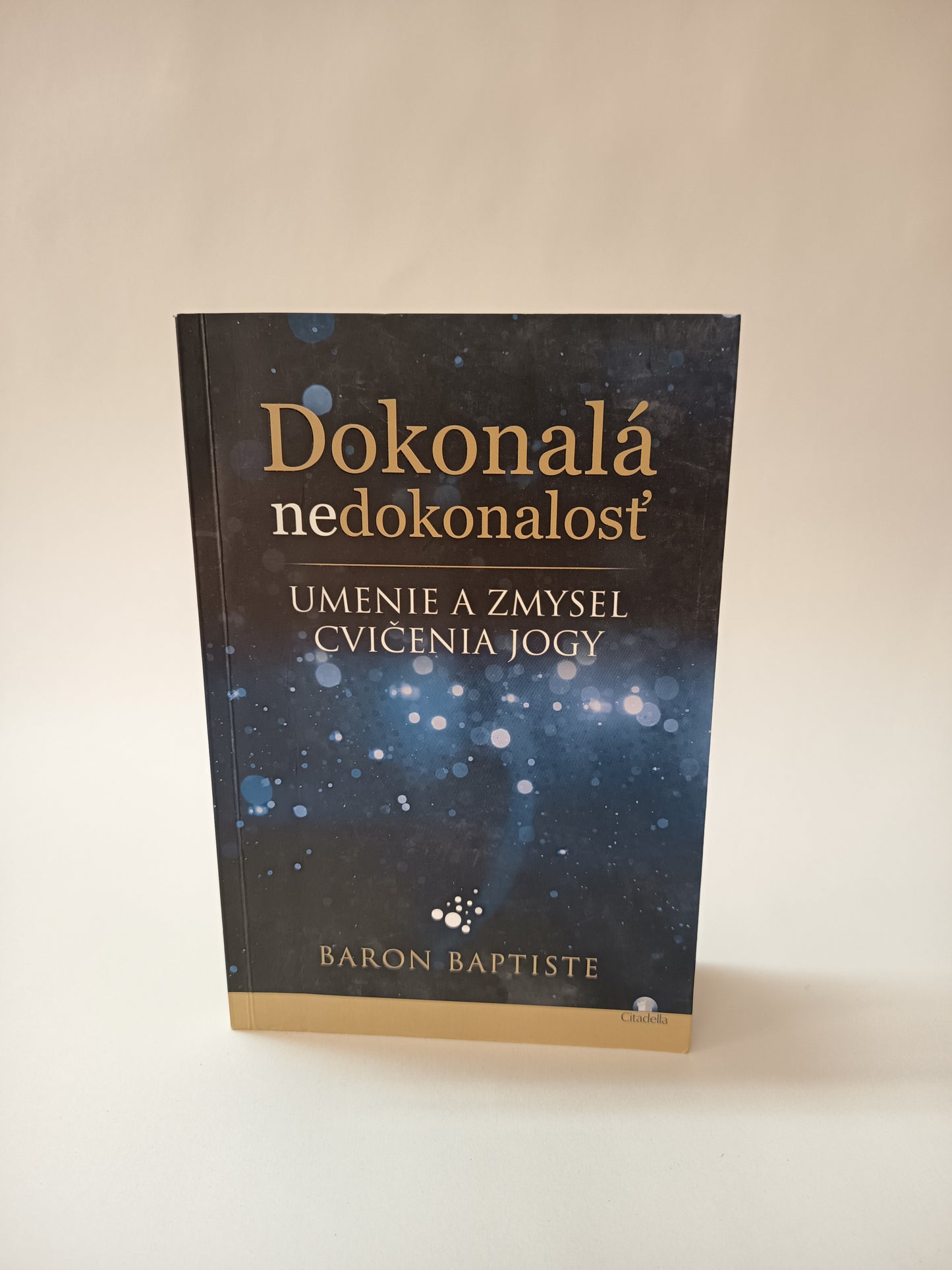 Dokonalá nedokonalosť