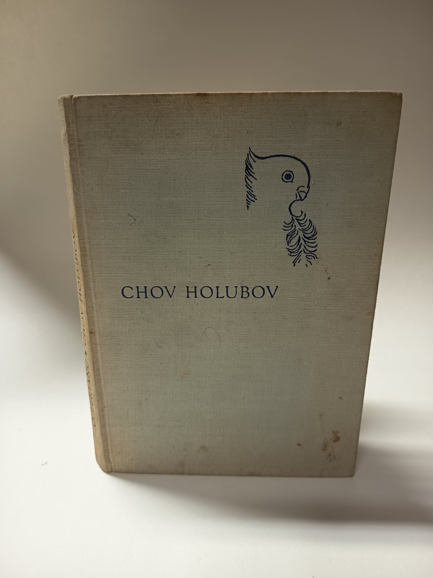 Chov holubov