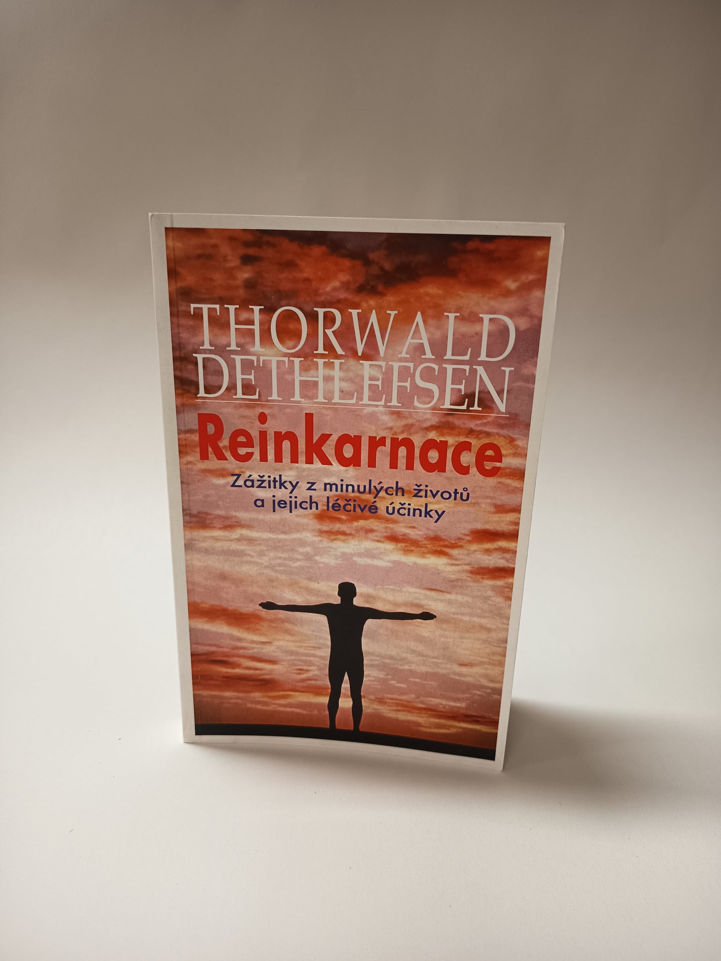 Reinkarnace