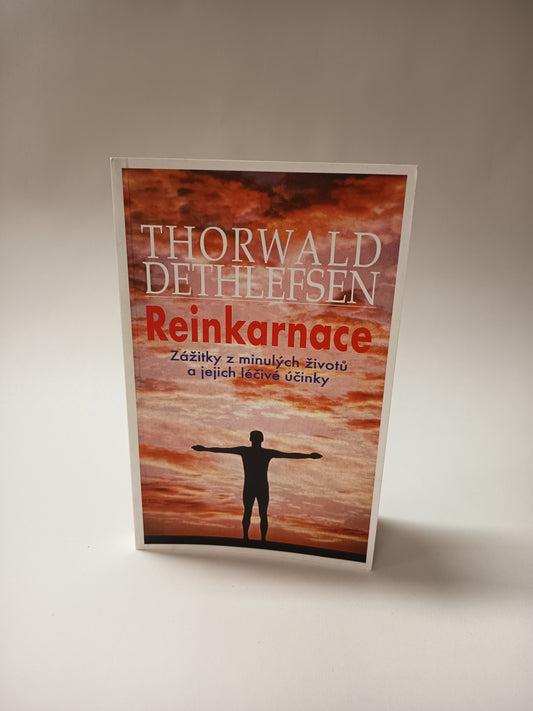 Reinkarnace