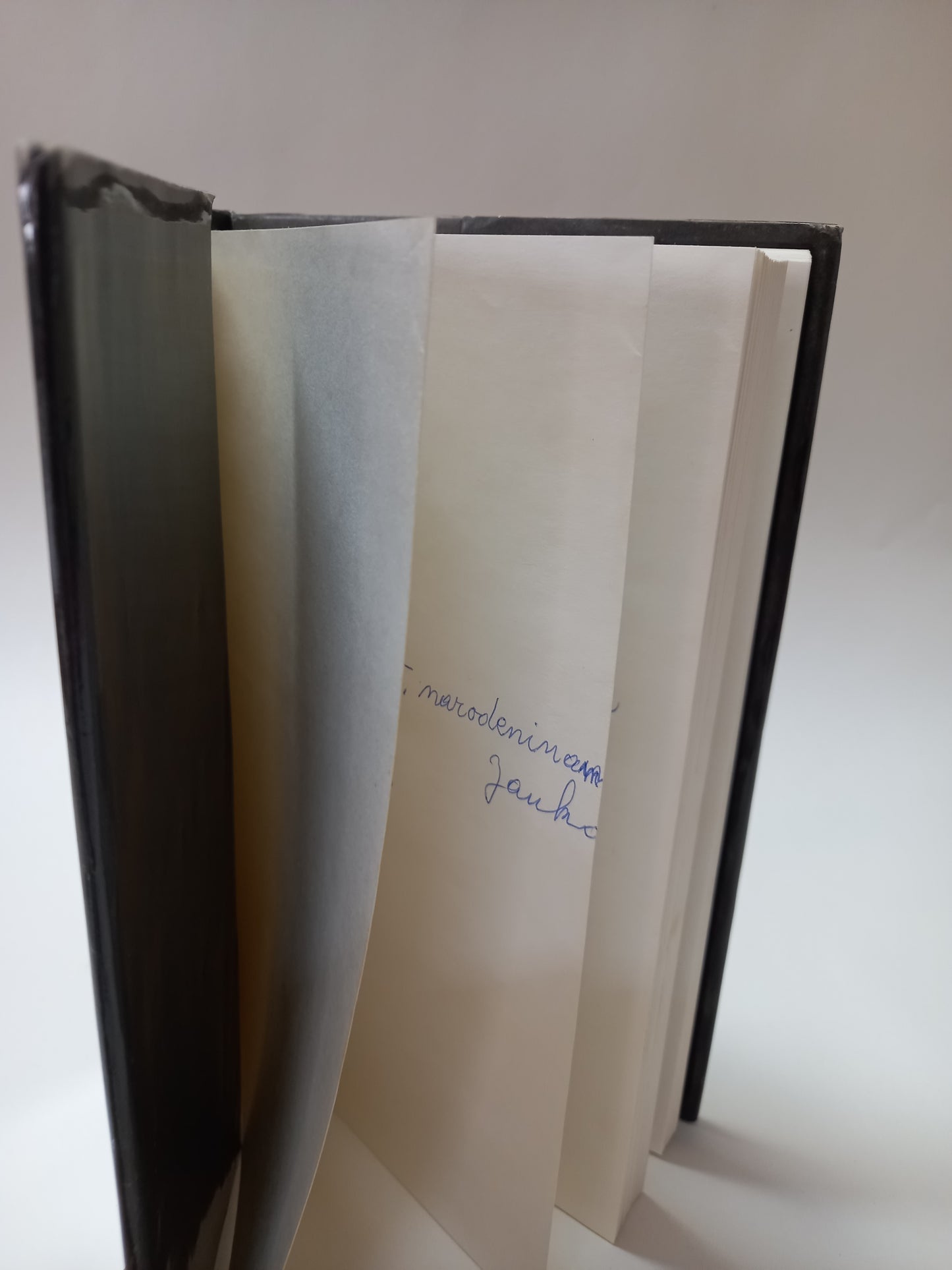 Bible v kresbách