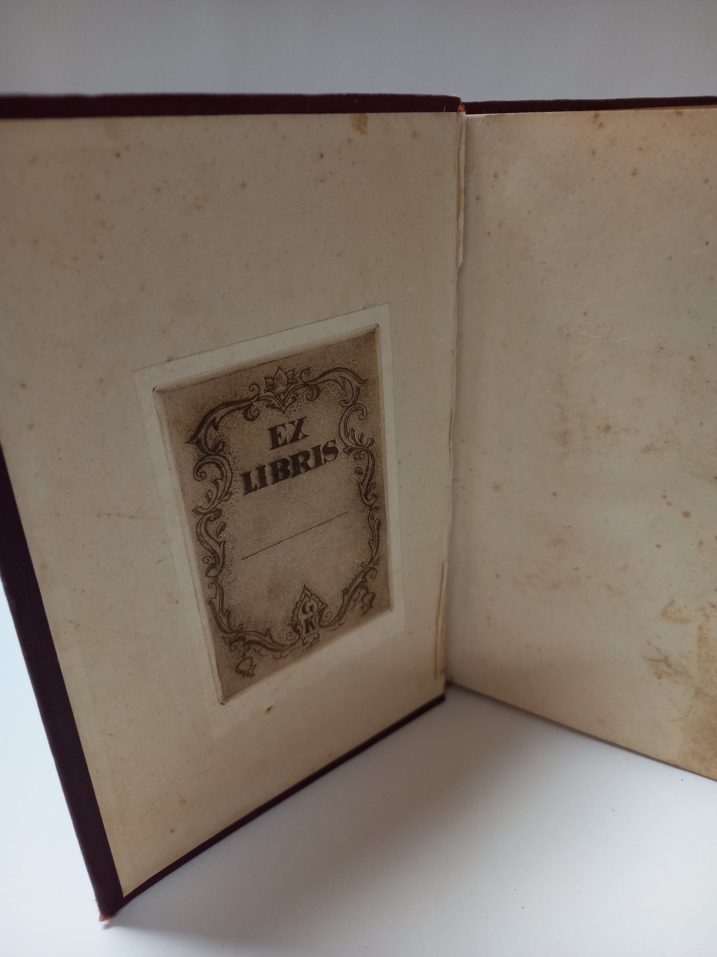 A Párisi Notre-Dame I.