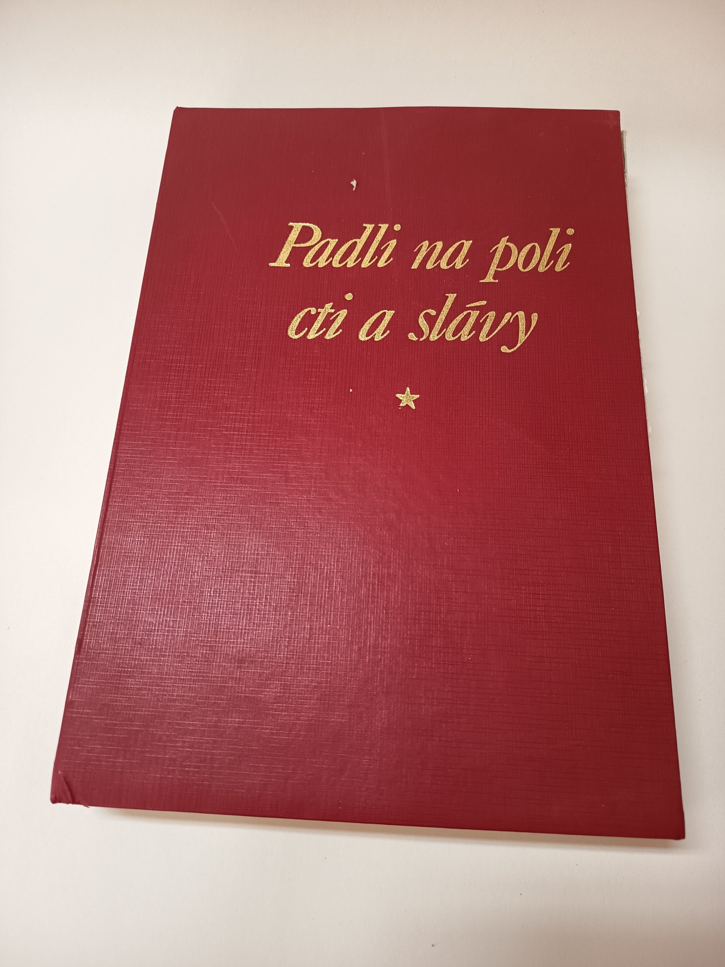 Padli na poli cti a slávy