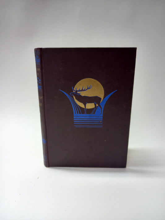 Keď rumy ožijú II.