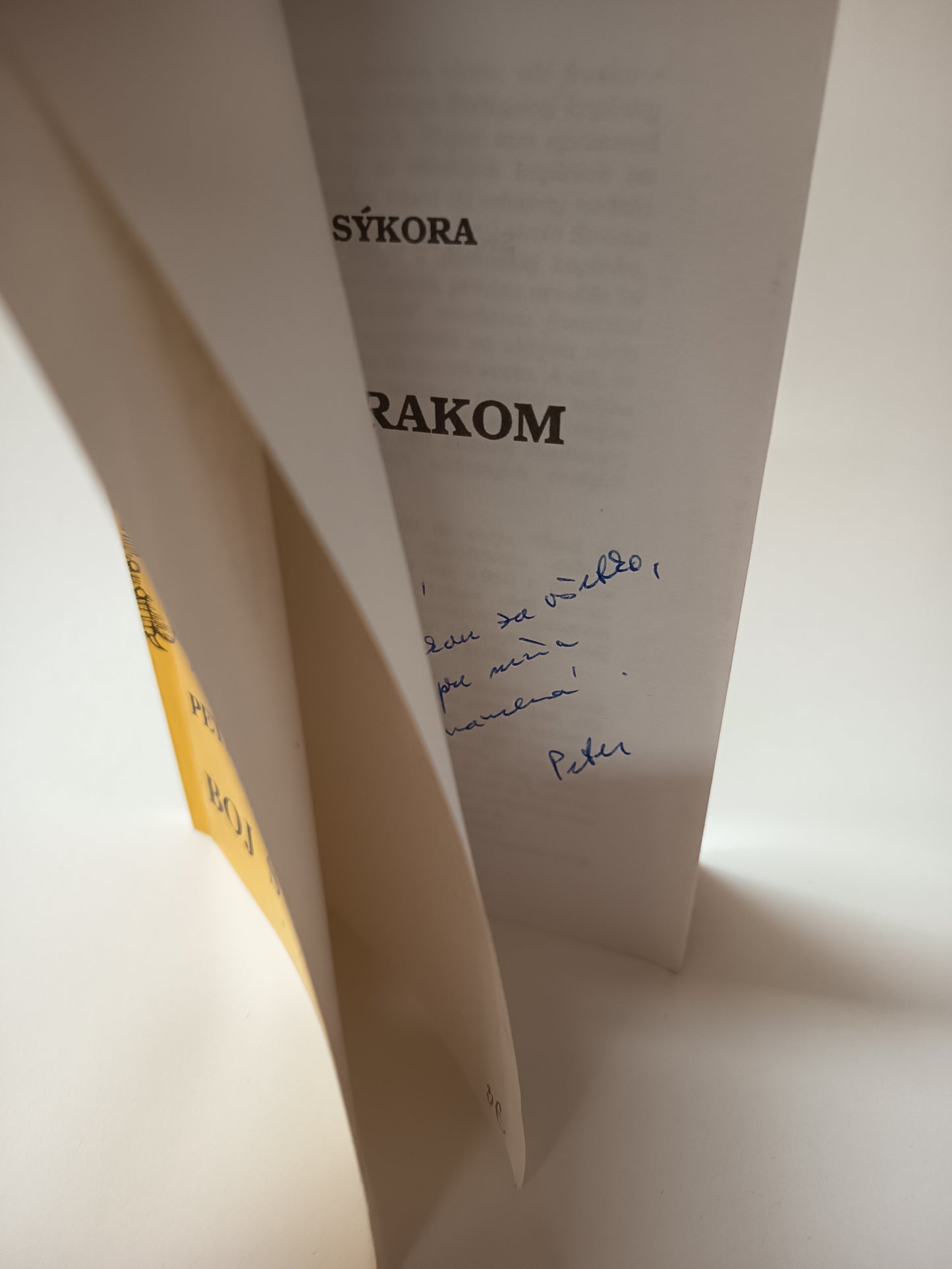 Boj s drakom