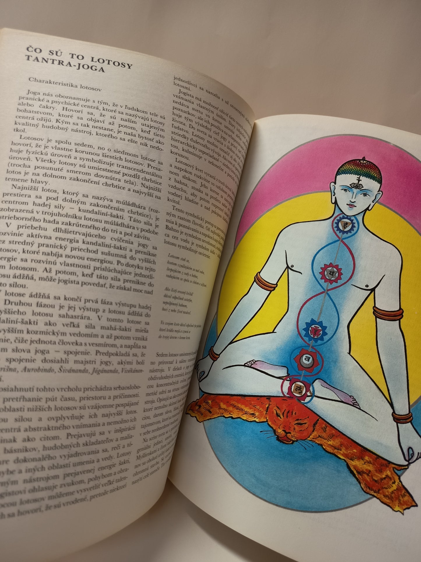 Joga - svetlo poznania