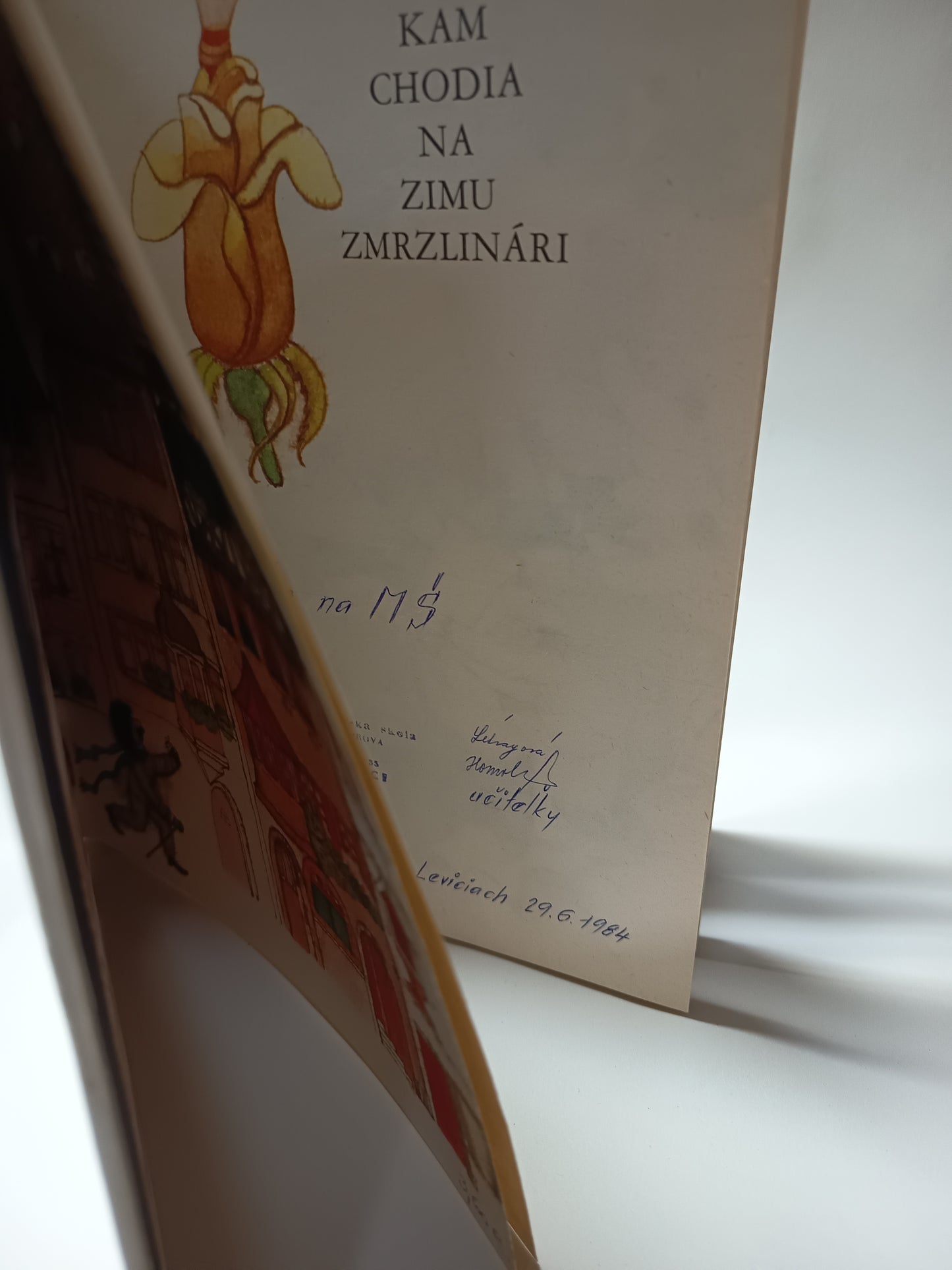 Kam chodia na zimu zmrzlinári