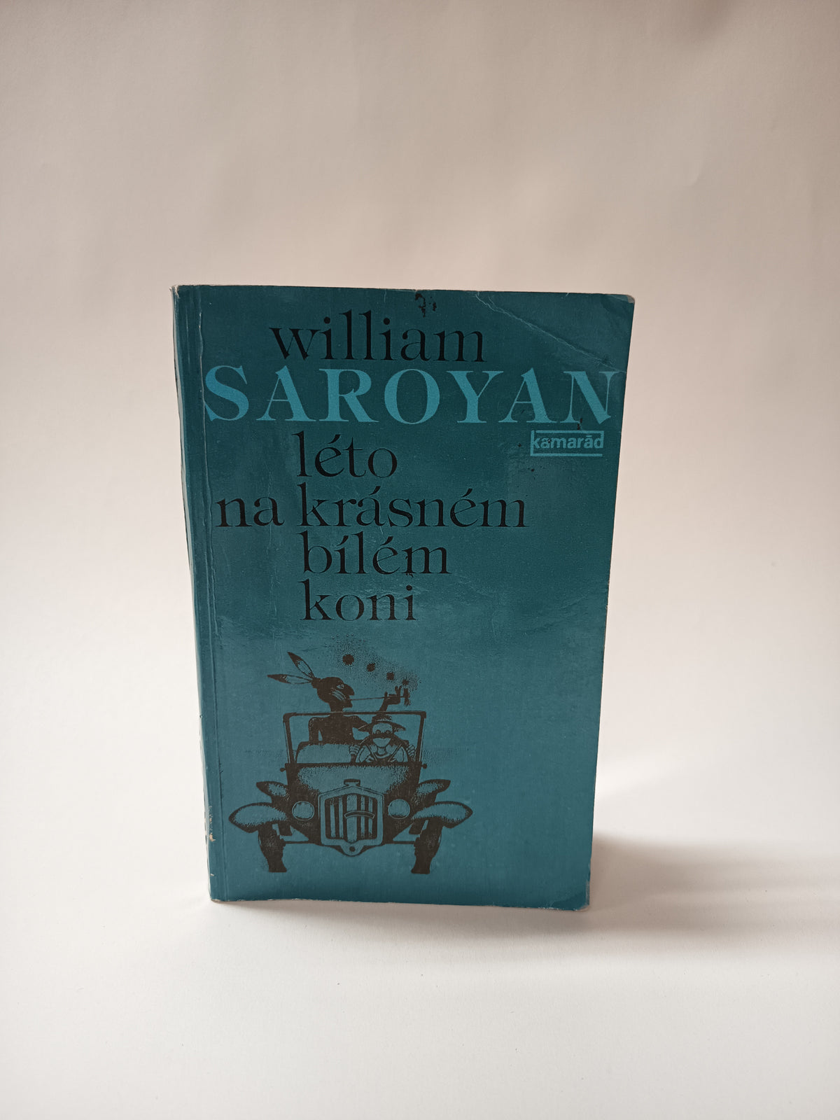 Léto na krásném bílém koni