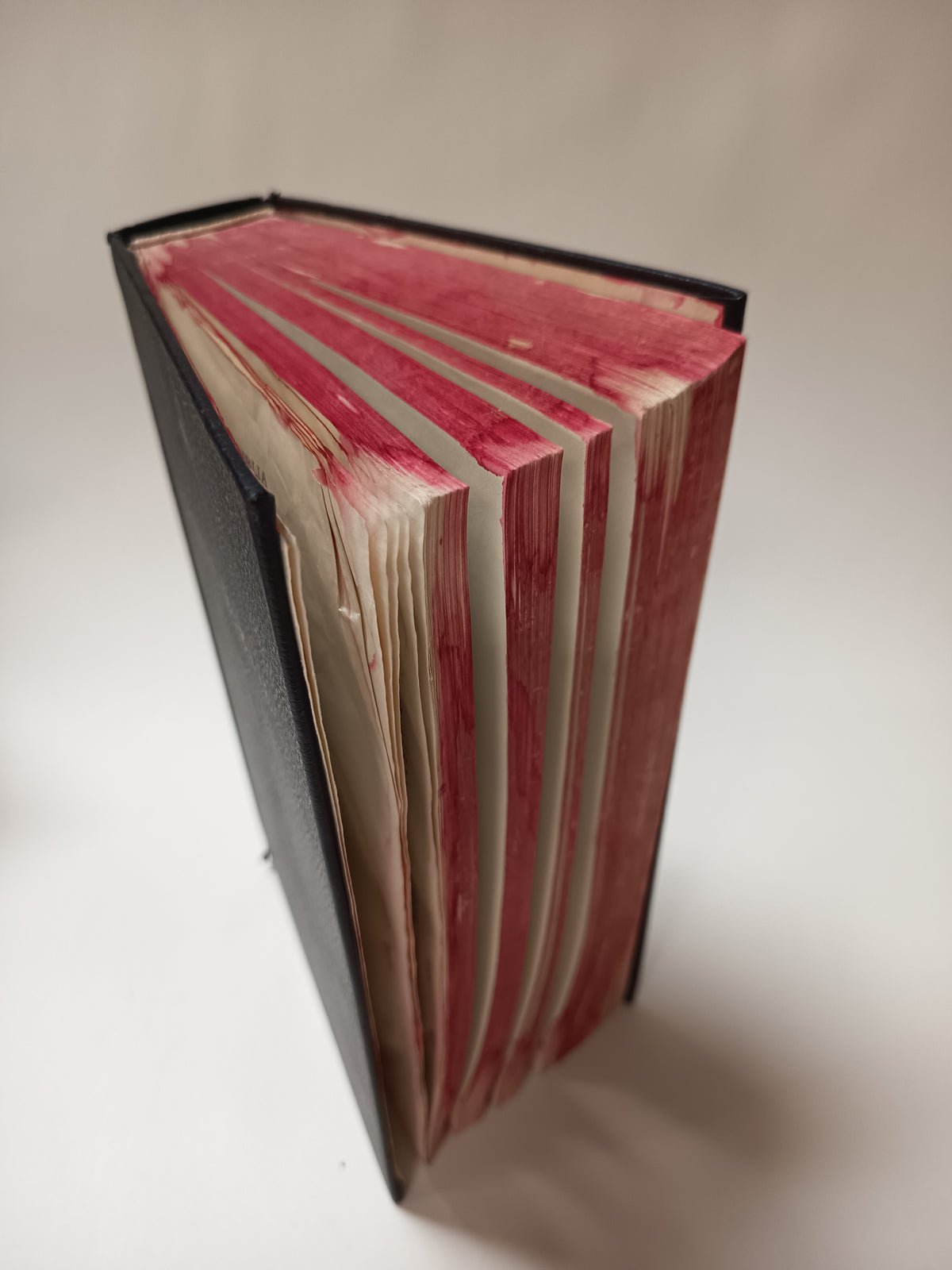 Svätá Biblia