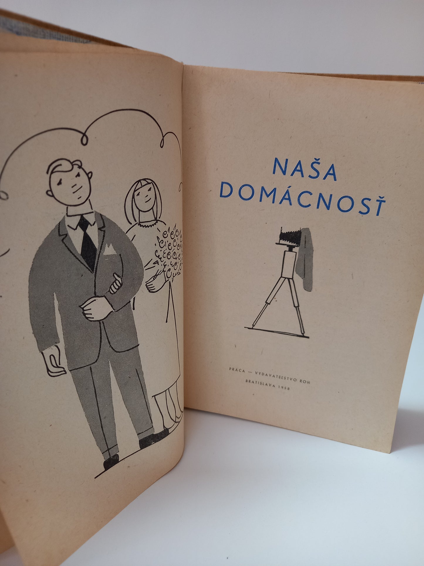 Naša domácnosť