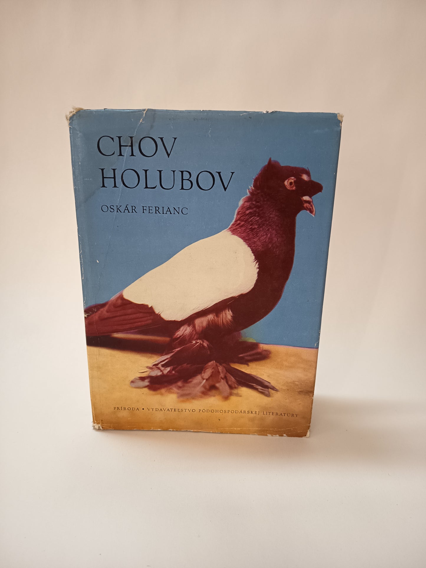 Chov holubov