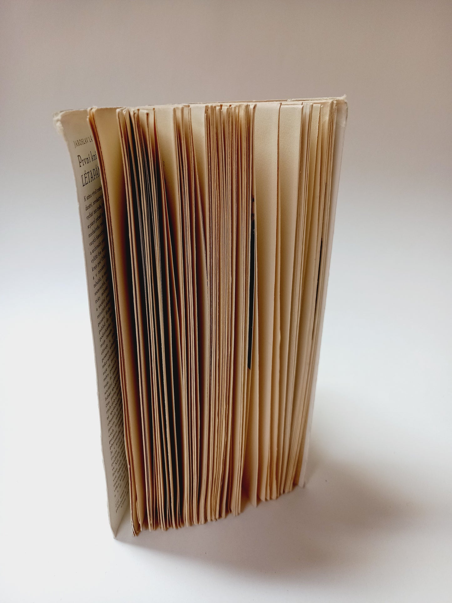 První kniha Léta páně              o panské historii na Skuhrově, Solnici a Kvasinách