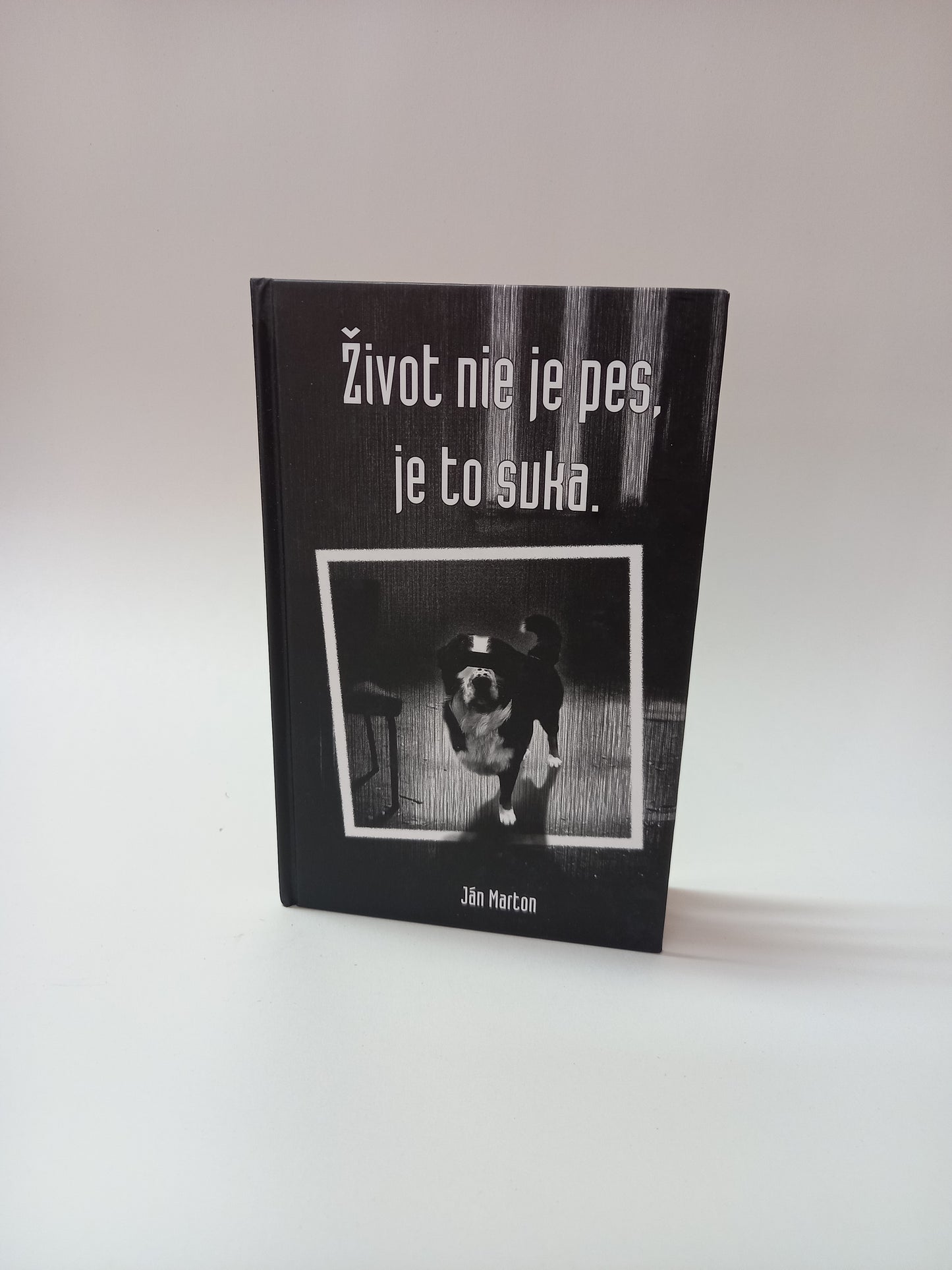 Život nie je pes, je to suka