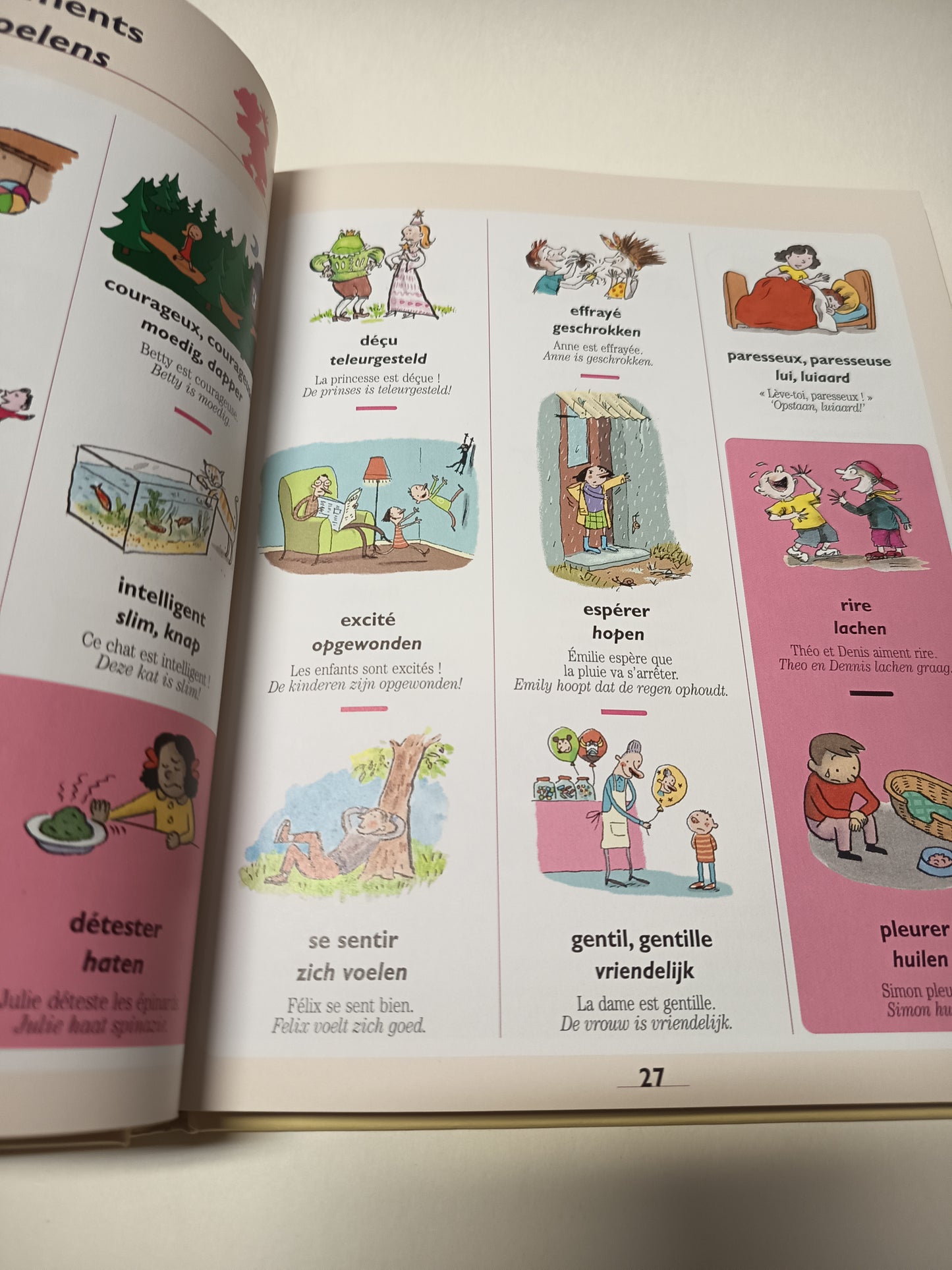 Mots néerlandais - Franse woorden
