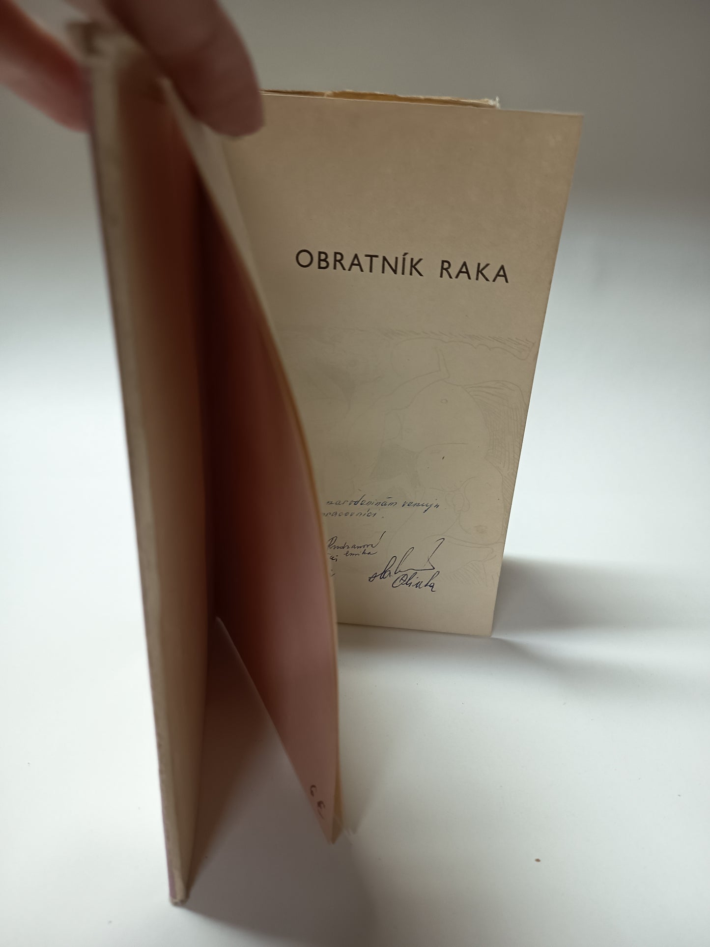 Obratník Raka