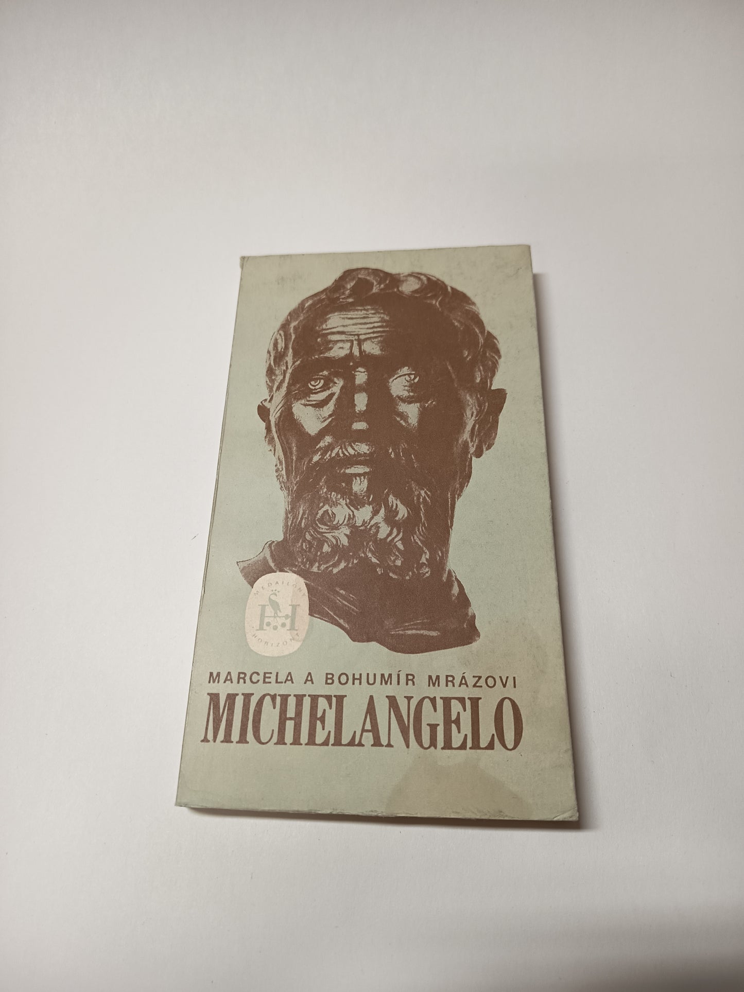 Michelangelo