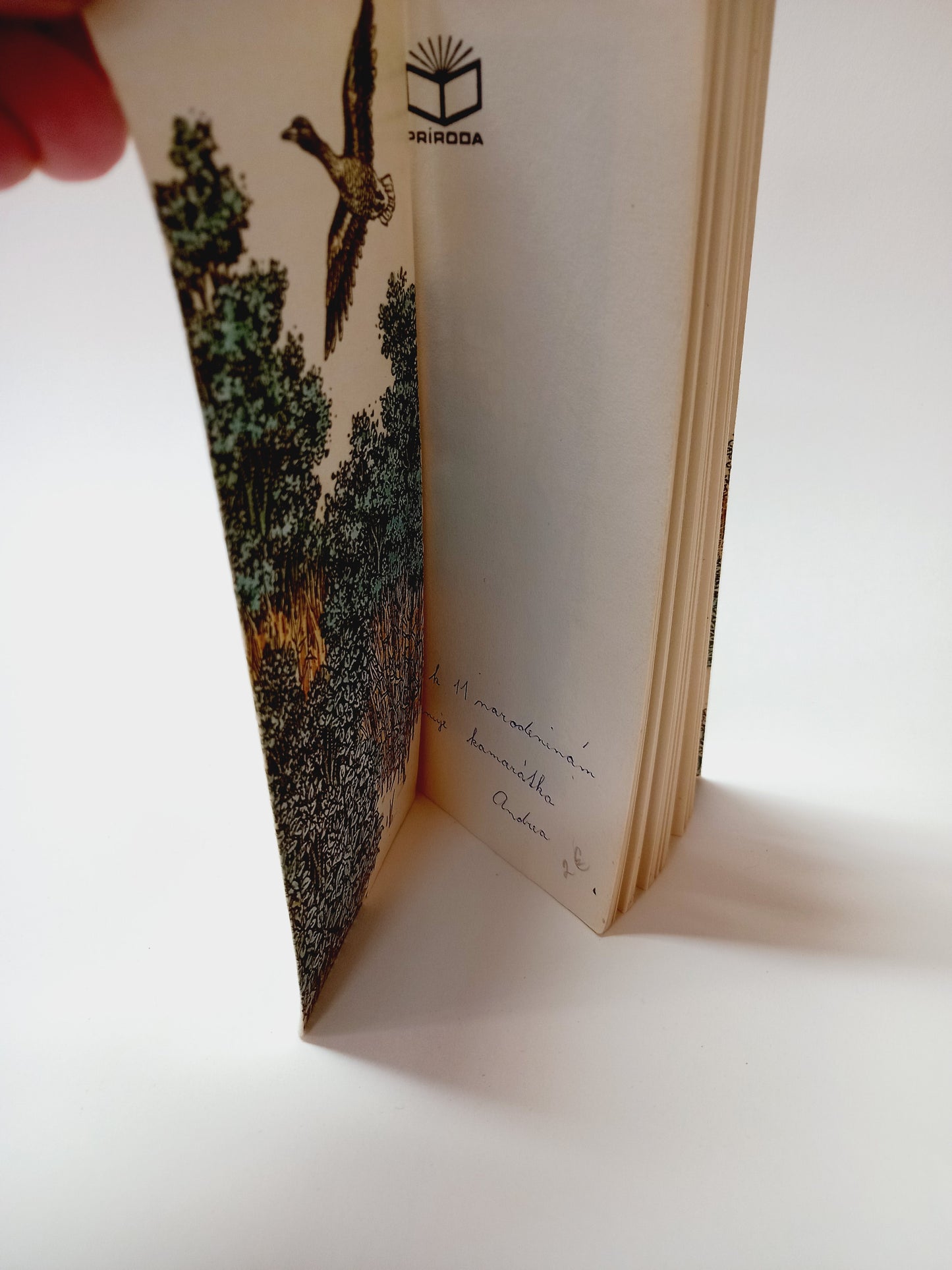 Sen o belasom jazere