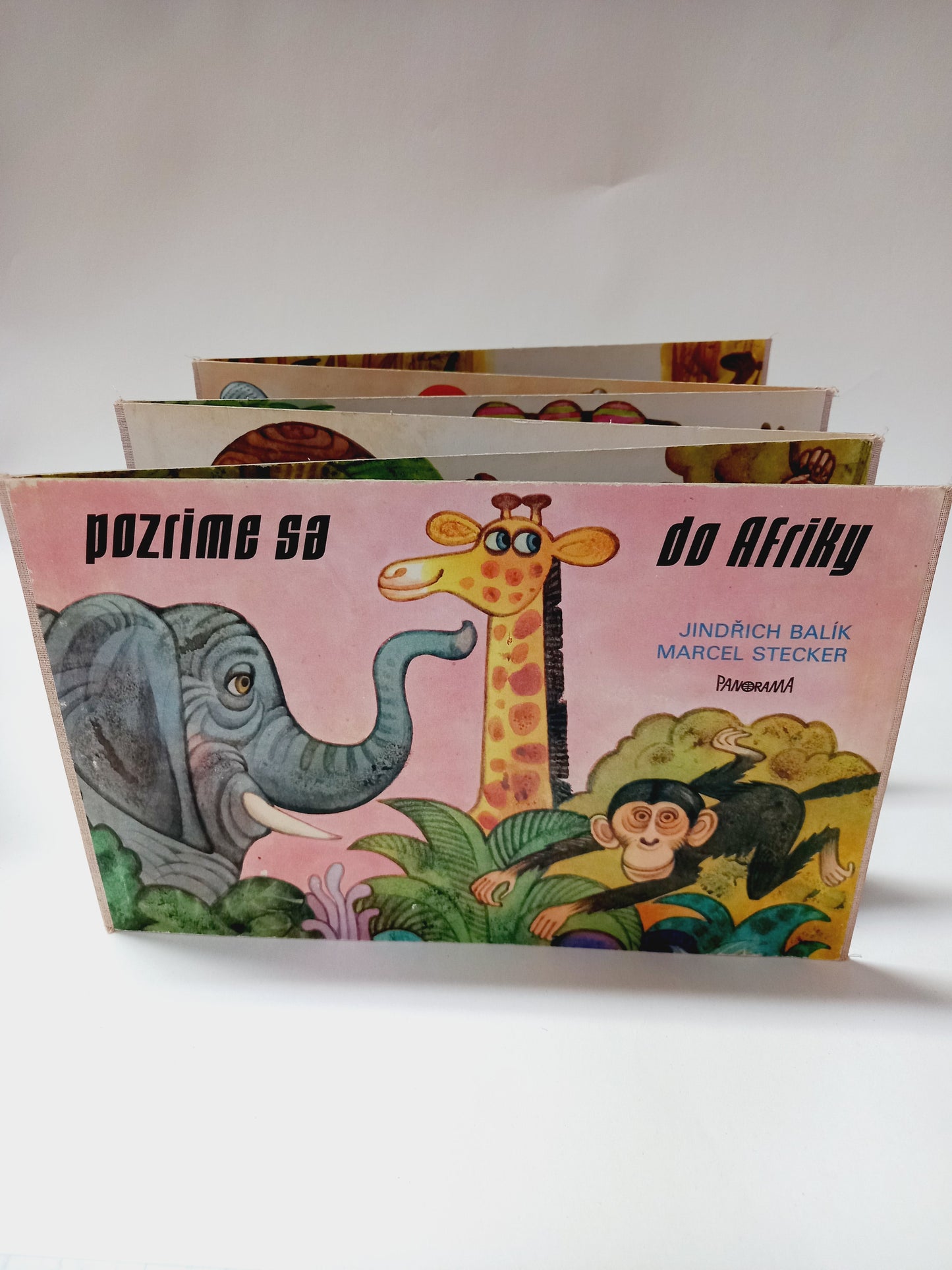 Pozrime sa do Afriky