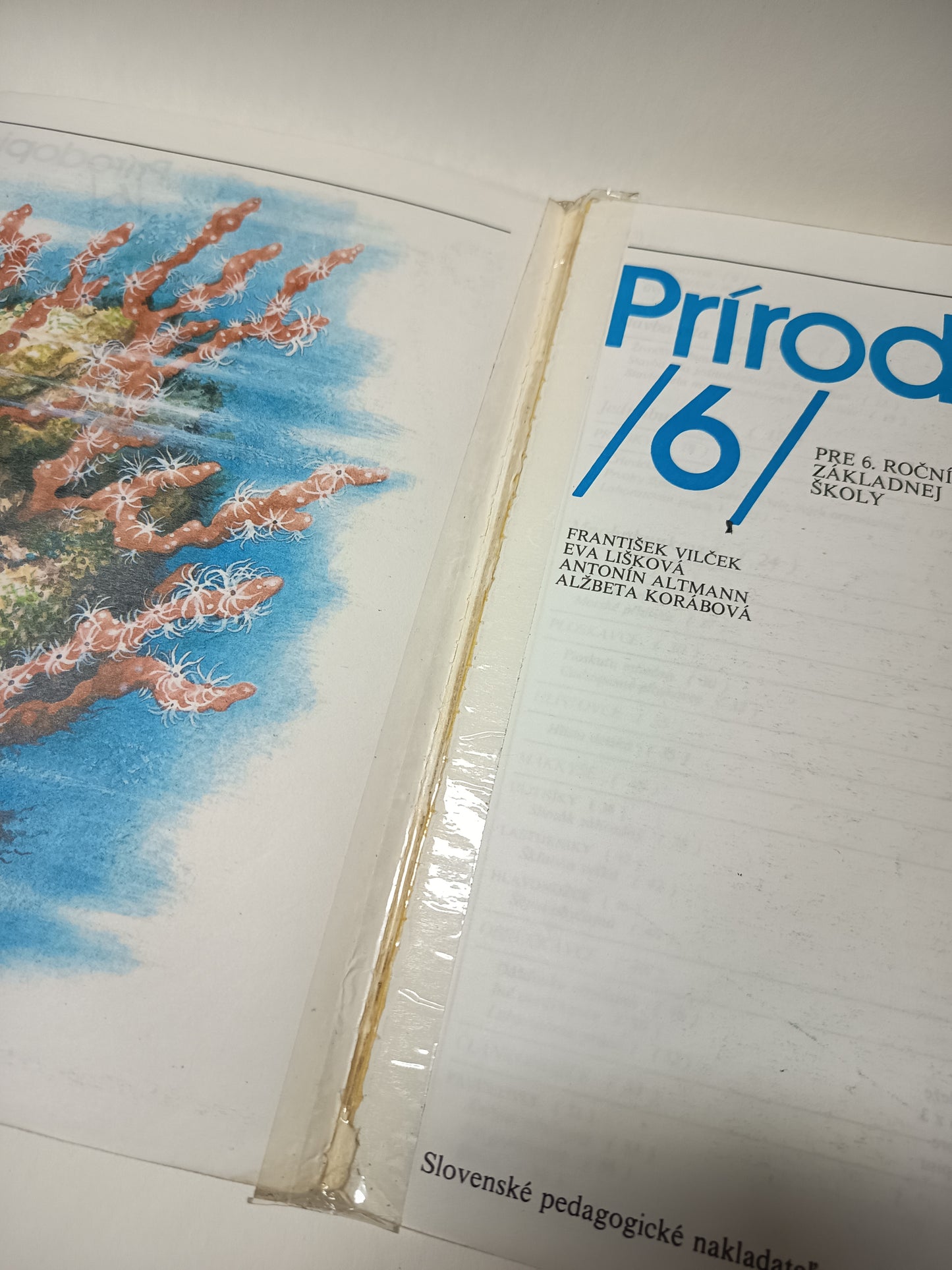 Prírodopis 6