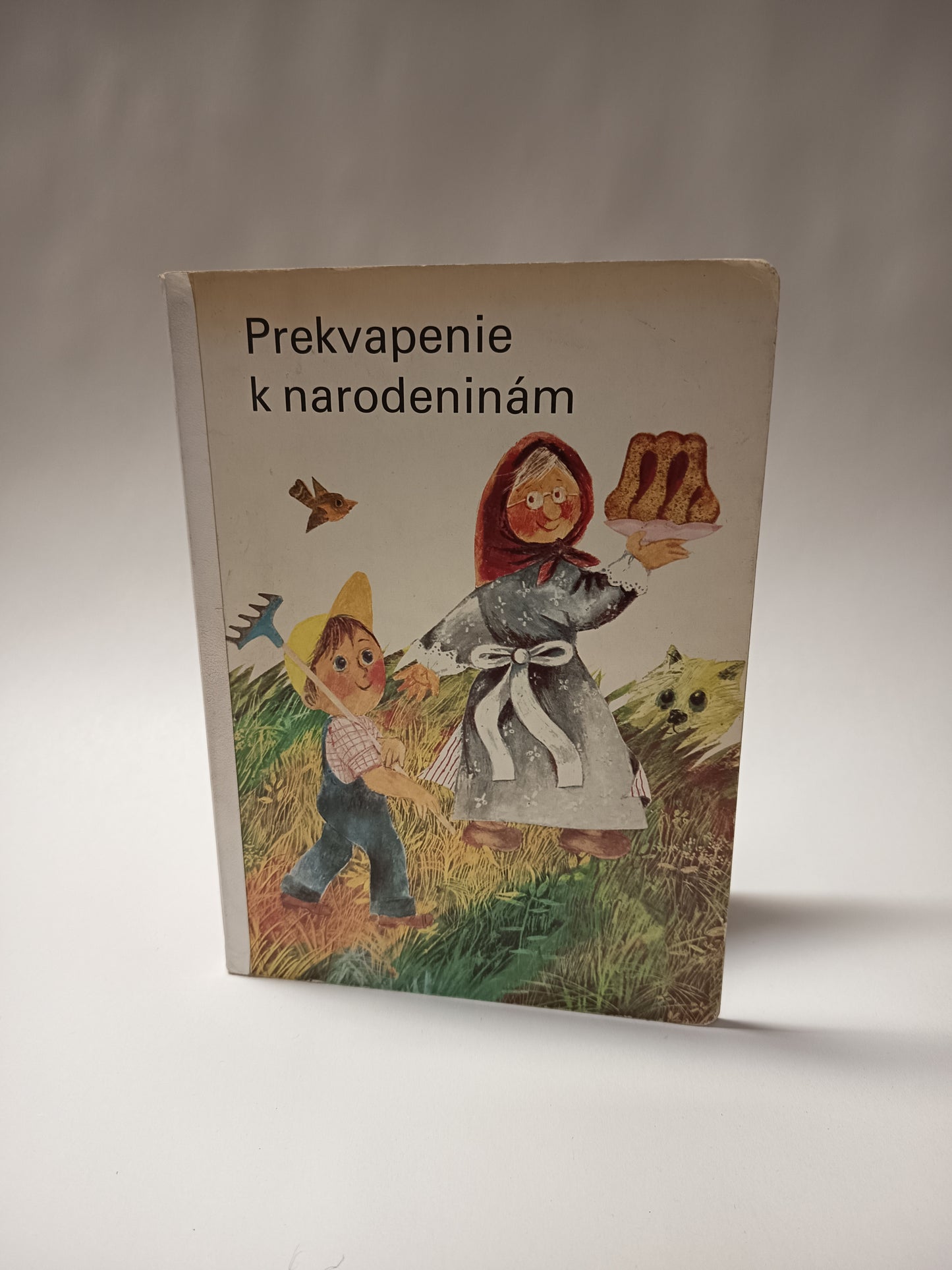 Prekvapenie k narodeninám
